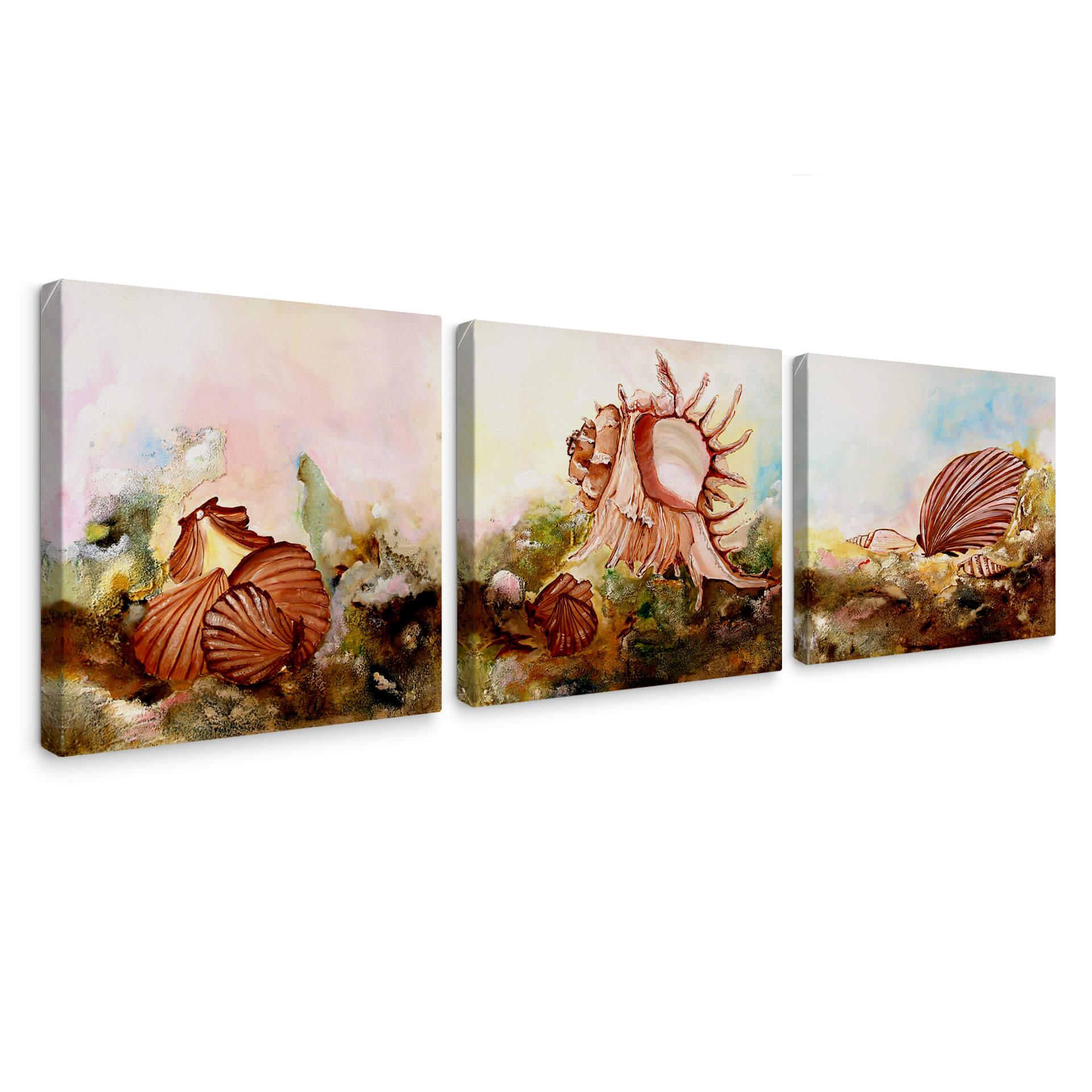 Tableau sur toile Fedrau - Coquillages 02 (3 parties)