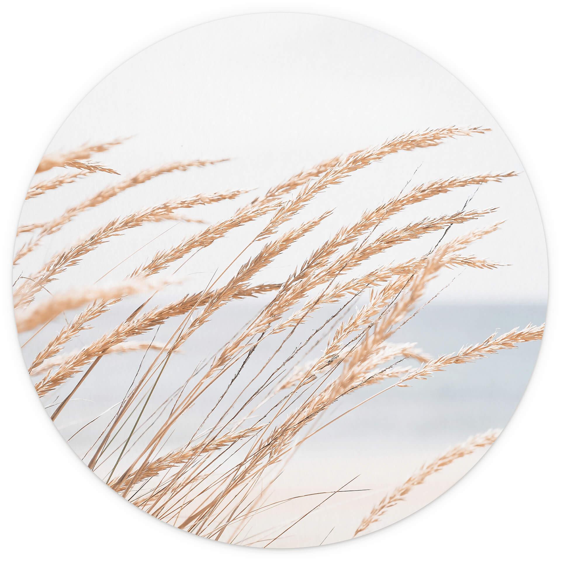 Behangcirkel in de Duinen - vliesbehang/zelfklevend vliesbehang