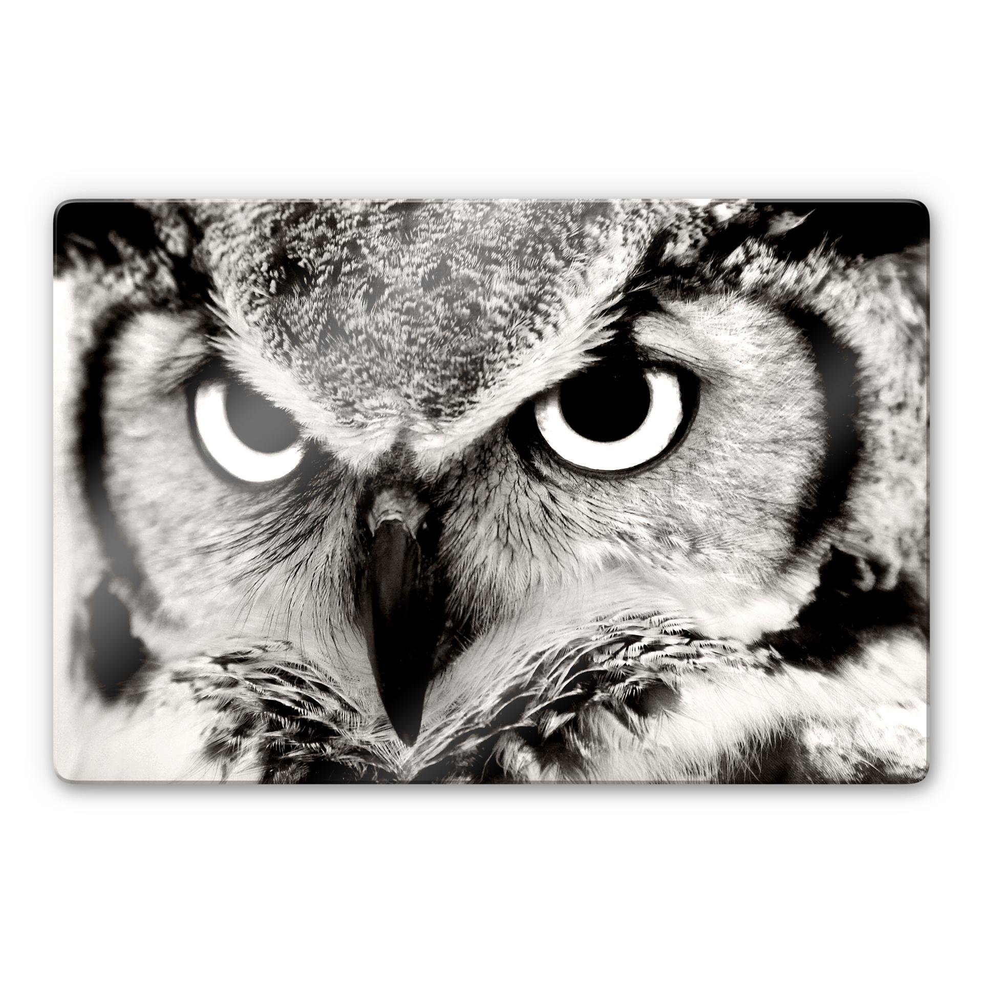 Tableau en verre - Hibou fier