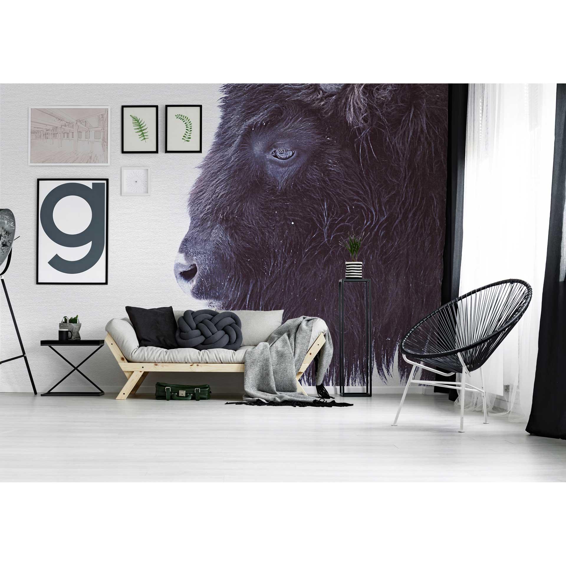 Livingwalls Fotobehang ARTist Black Buffalo