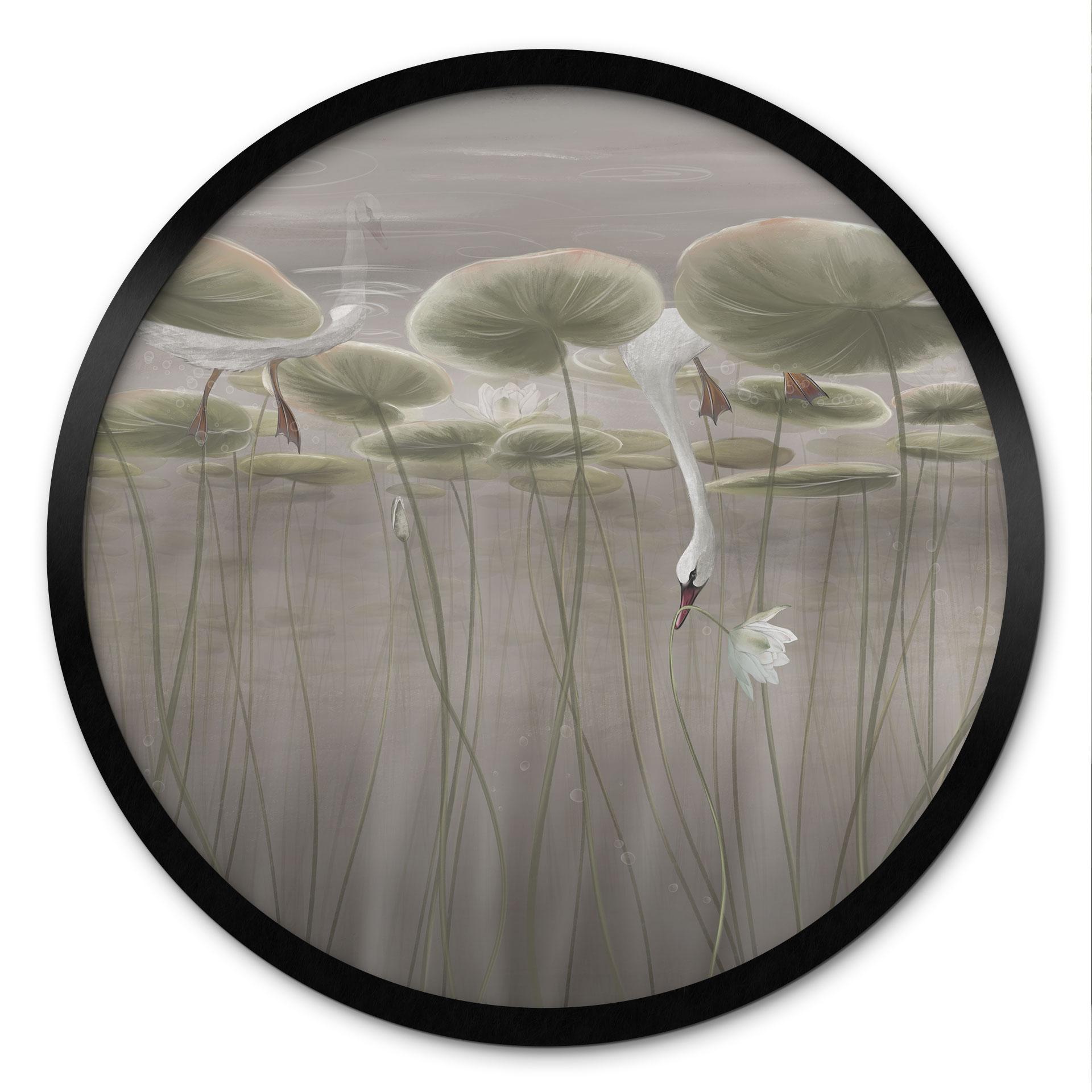 Poster Lotusblumen mit Schwan im Wasser in Grau - Ms Tiff - Rund