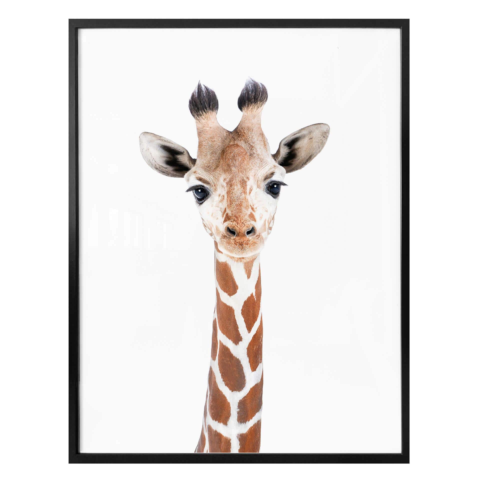 Poster Sisi & Seb - Baby Giraff