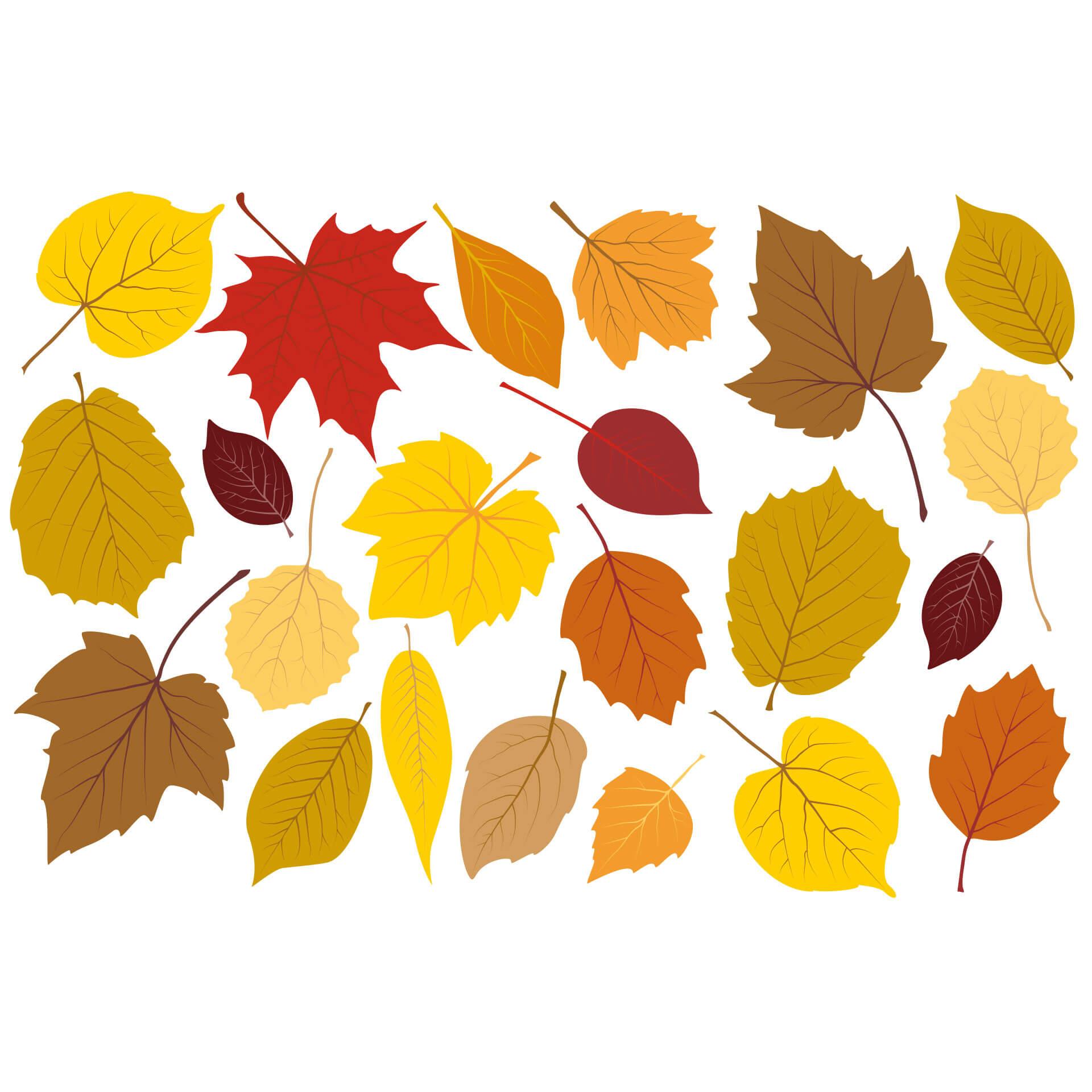 Muursticker Herfstbladeren 1 Muurstickers