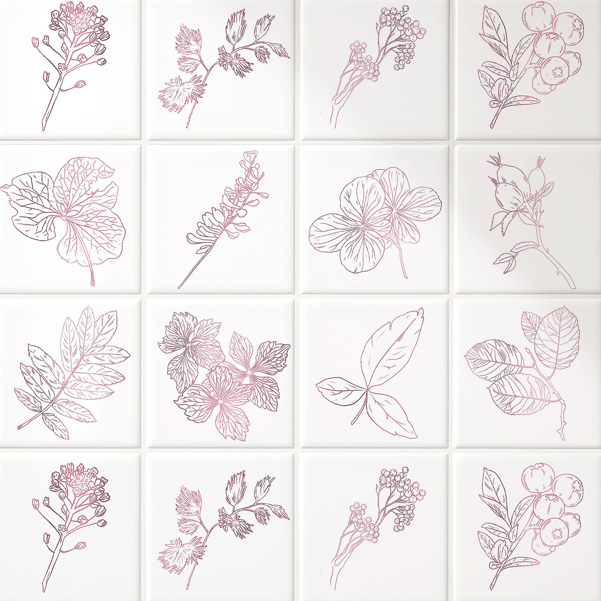 Azulejos Adhesivos Contornos Hojas Rosa - Lote de 12