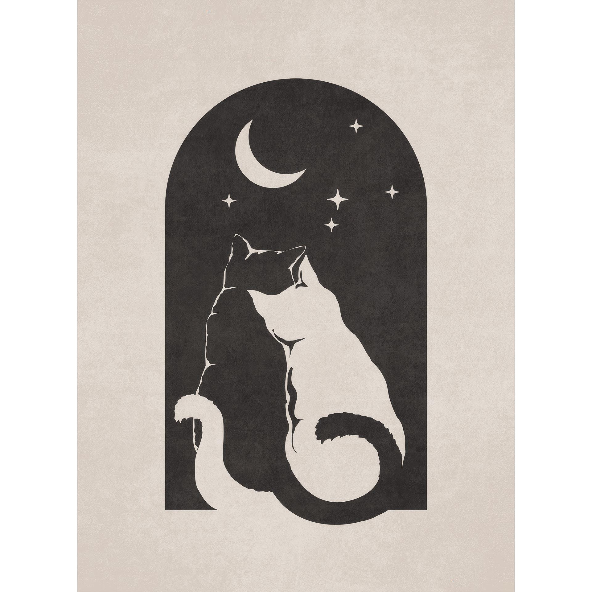 Twee katten in het maanlicht | Fotobehang voor de slaapkamer - Tunaboylu