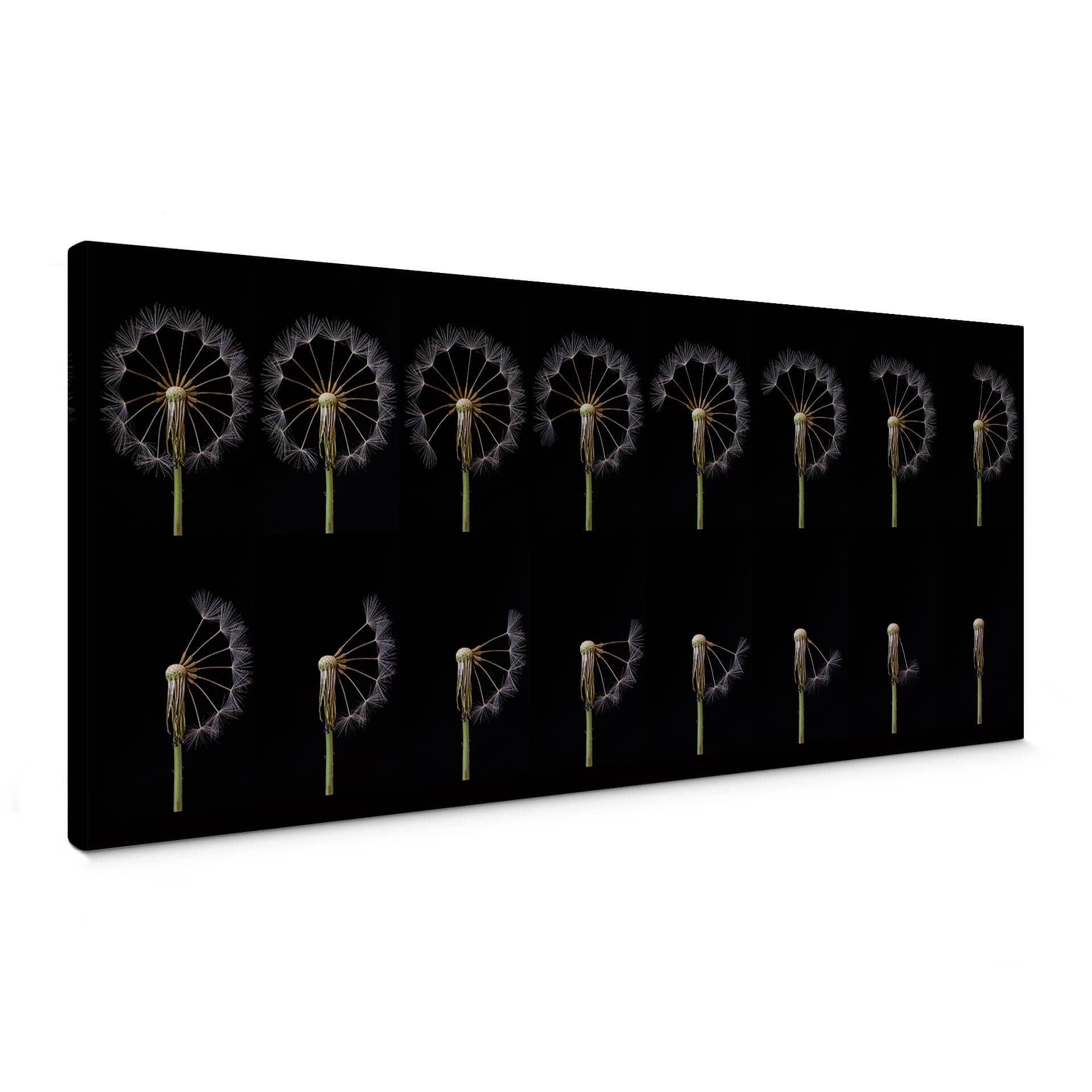 Canvasbillede - Lionse - Story of a Dandelion