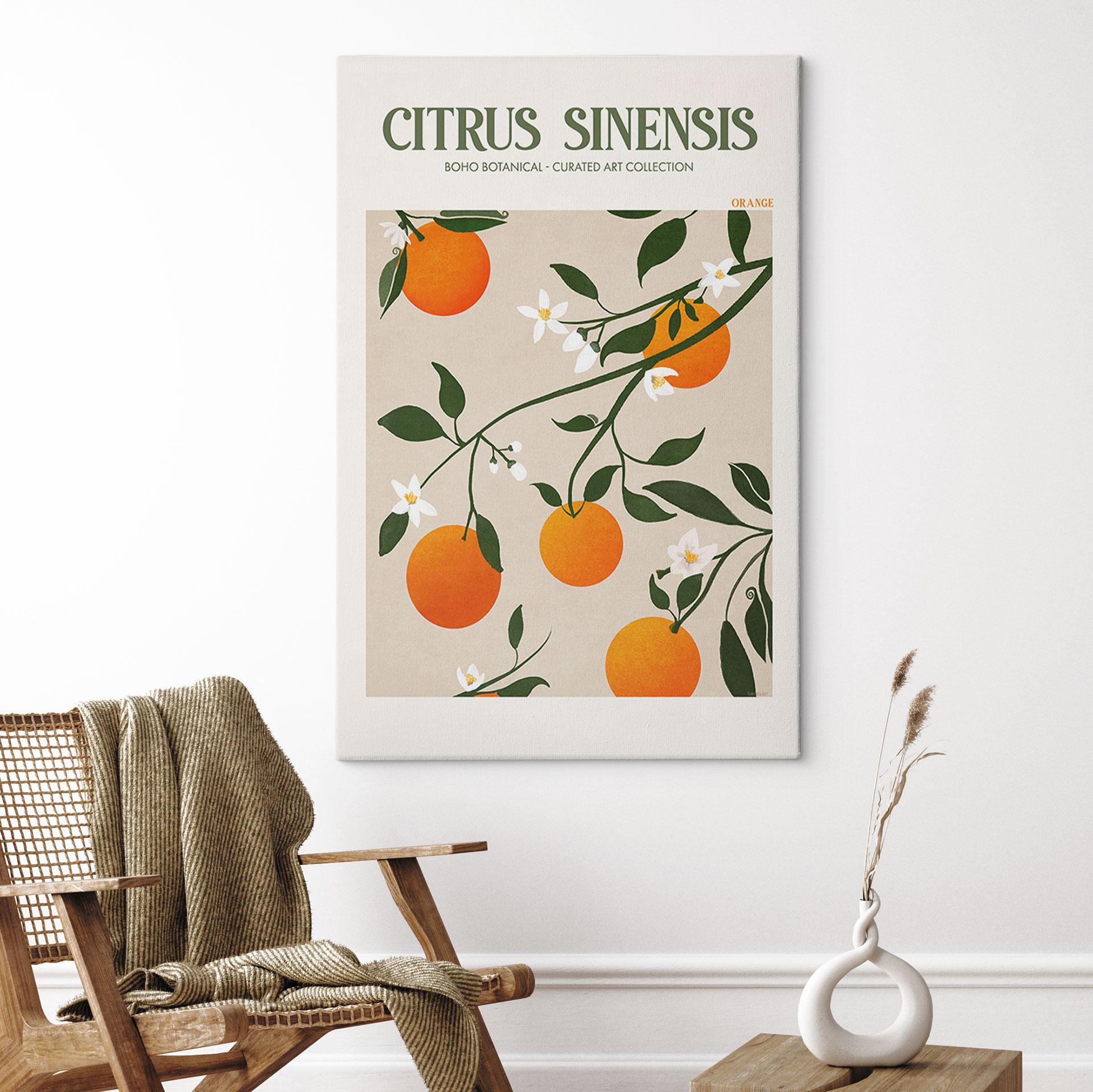 Lærredsprint - Boho-appelsintræ - Citrus Sinensis - Tunaboylu