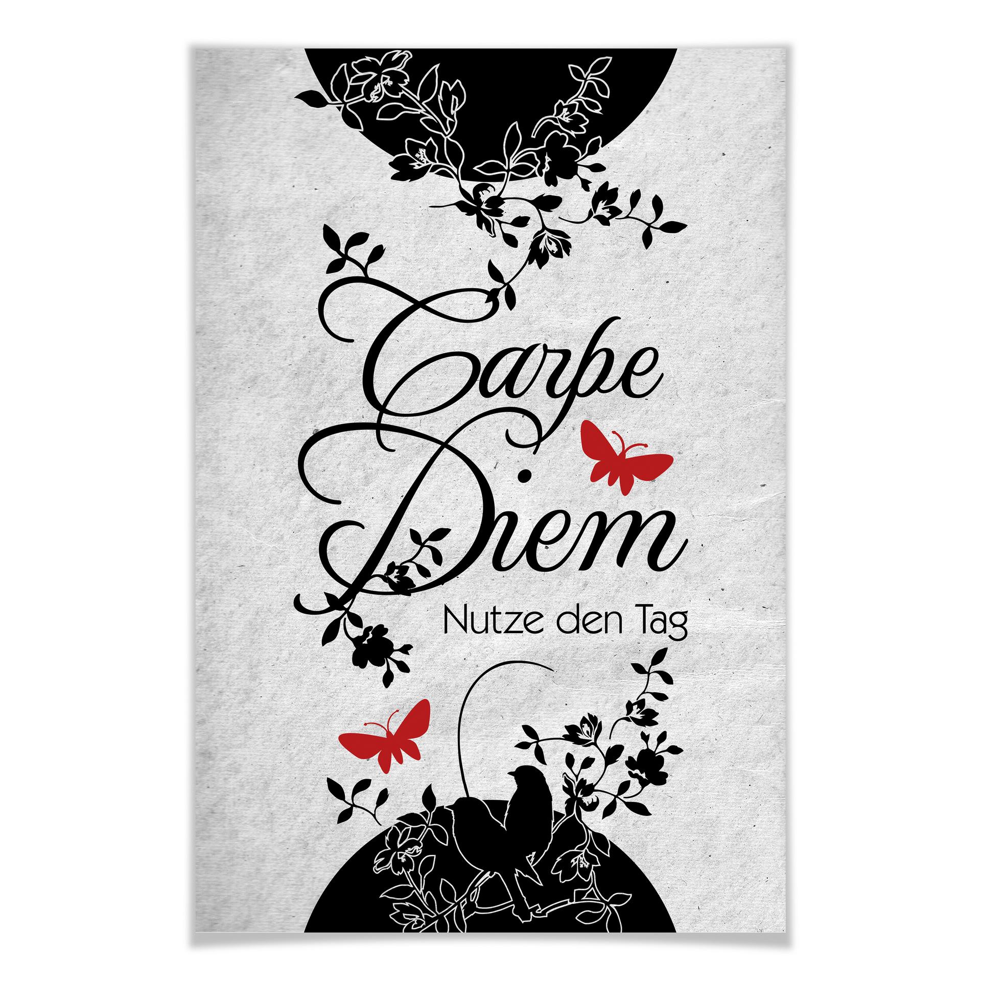 Poster - Carpe Diem 2