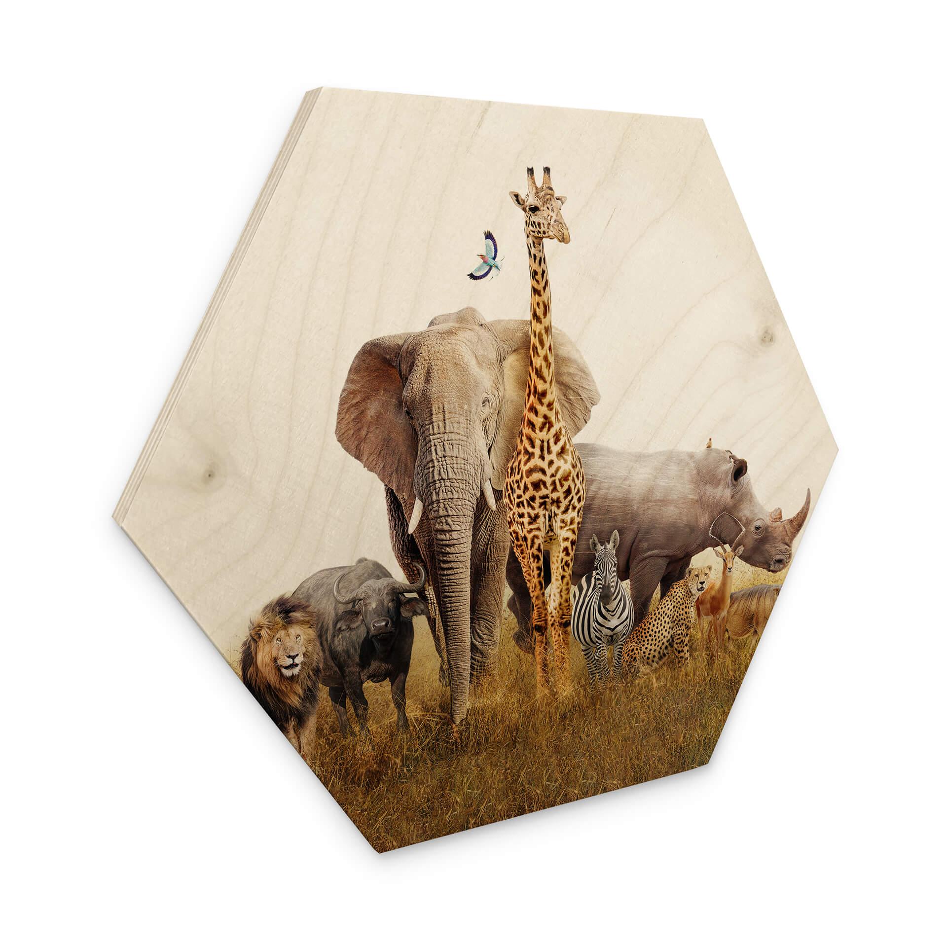 Hexagone - Bois Animaux africains