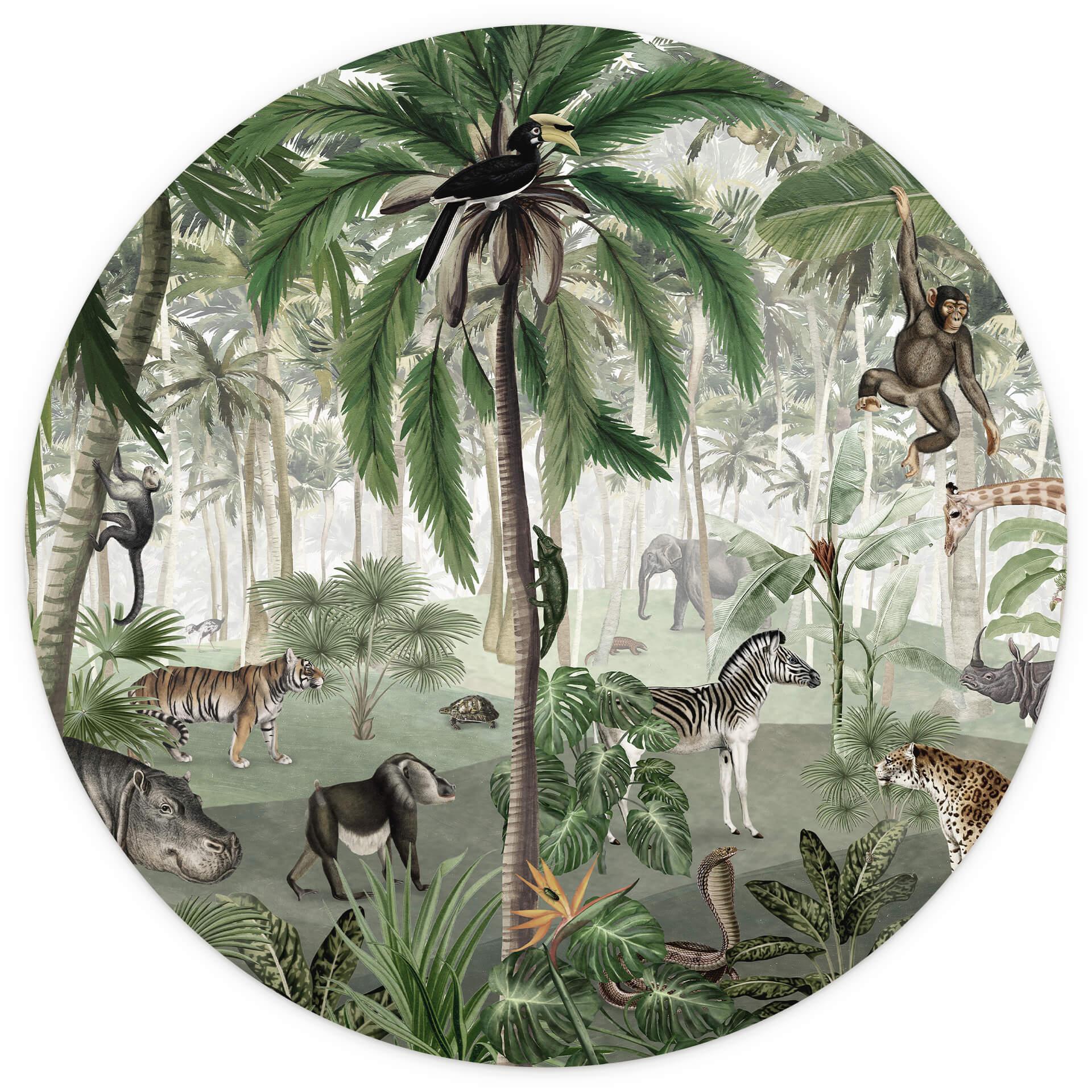 Behangcirkel Kikki Belle - Searching in the Jungle - vliesbehang/zelfklevend vliesbehang
