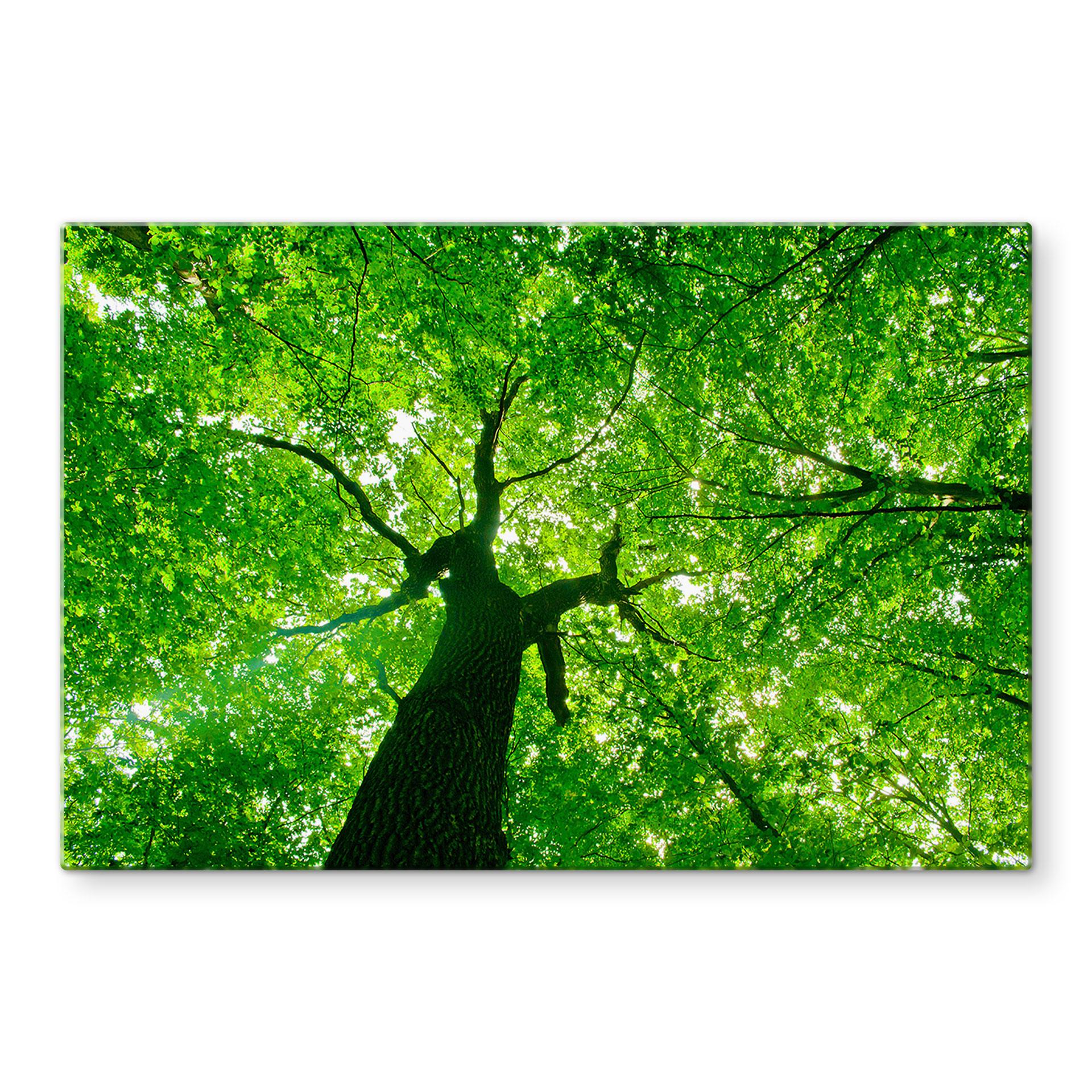 Spatscherm Under the Trees
