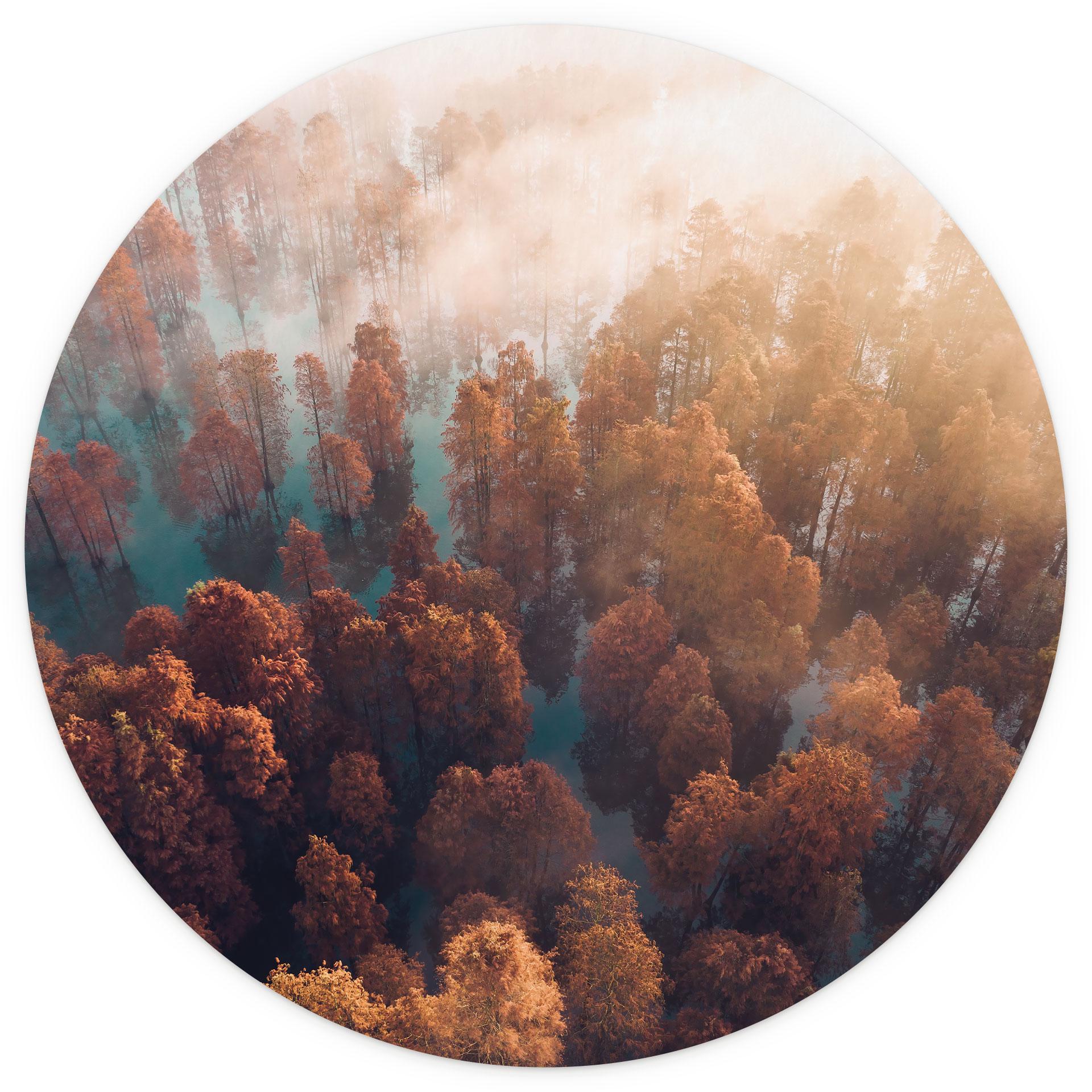 Behangcirkel Herfstbos in de mist - Ioricon - vliesbehang/zelfklevend vliesbehang