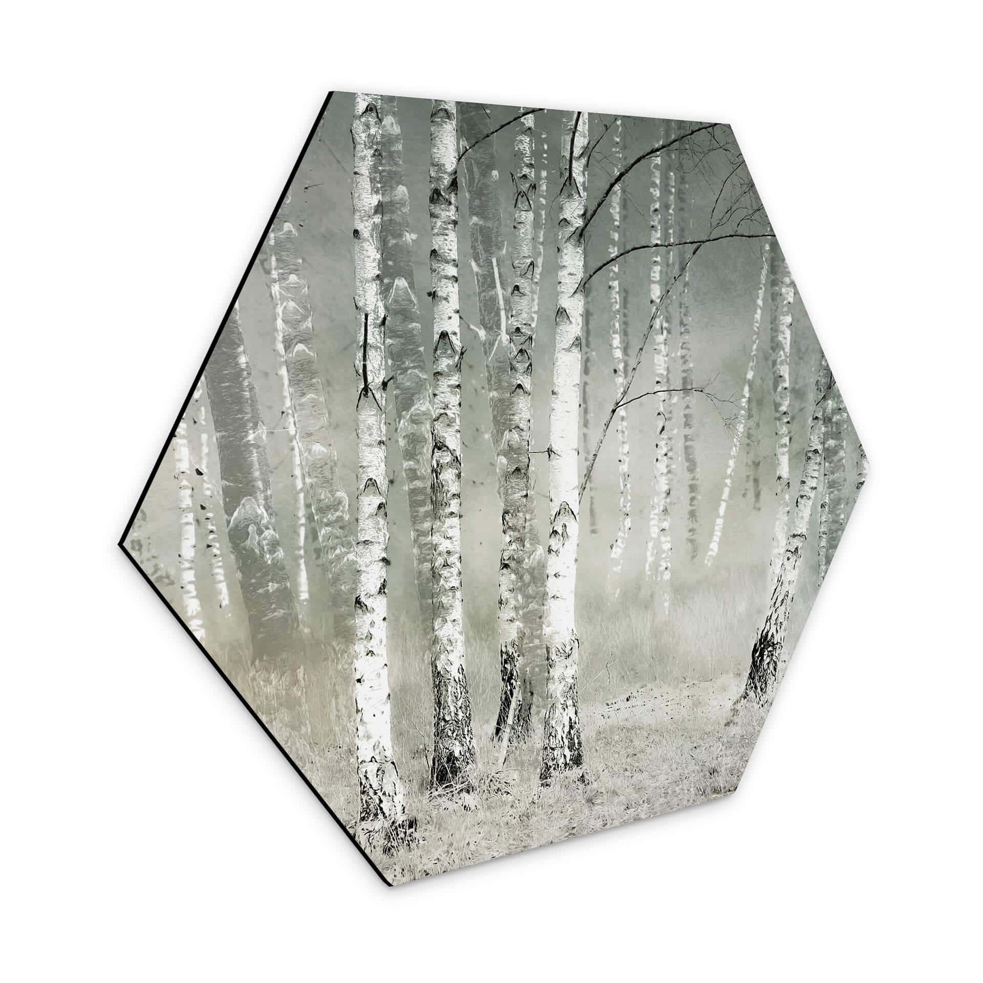 Hexagone - Tableau sur alu-Dibond Talen - Repos matinal
