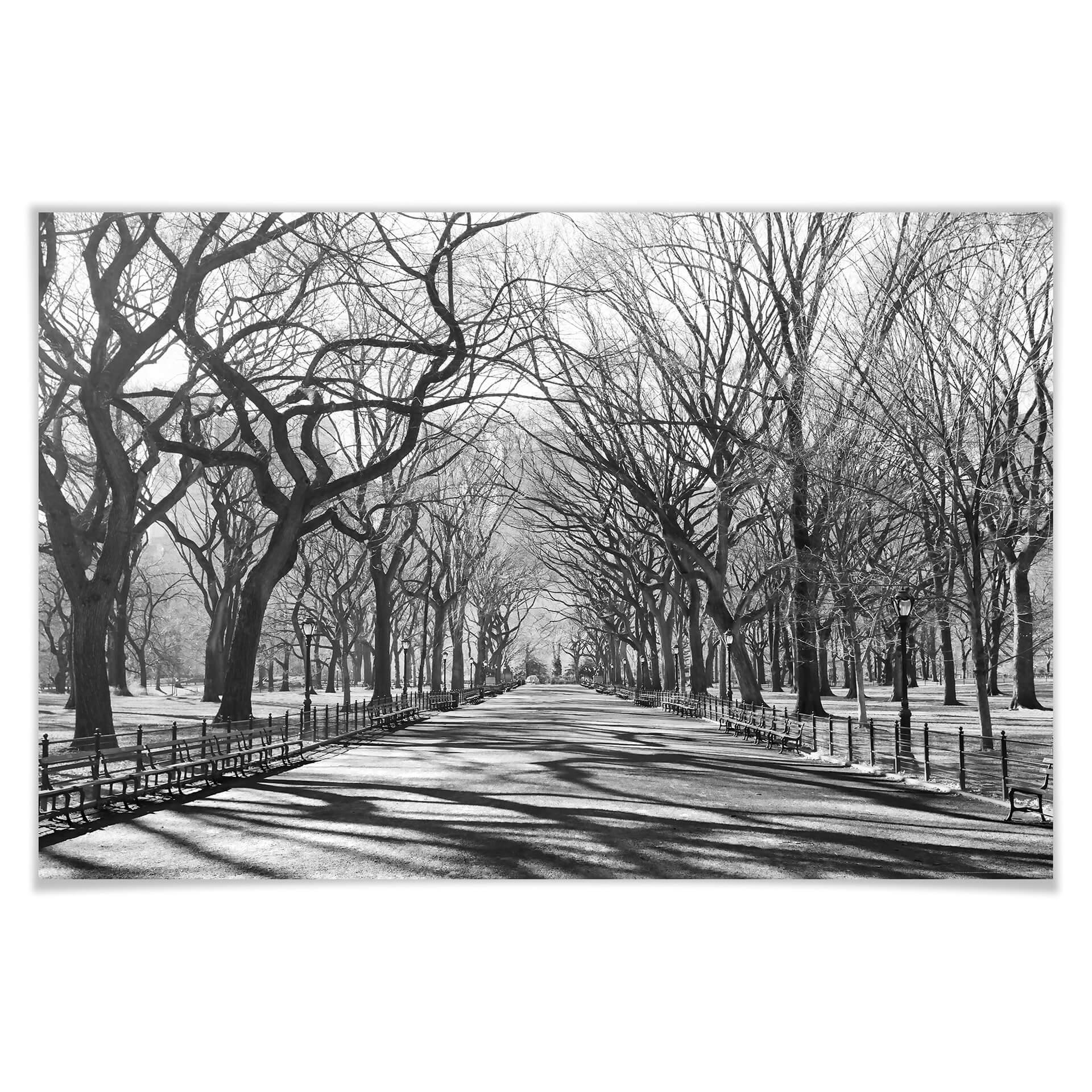 Giant Art® XXL-Poster the Mall - Central Park - 175x115 cm