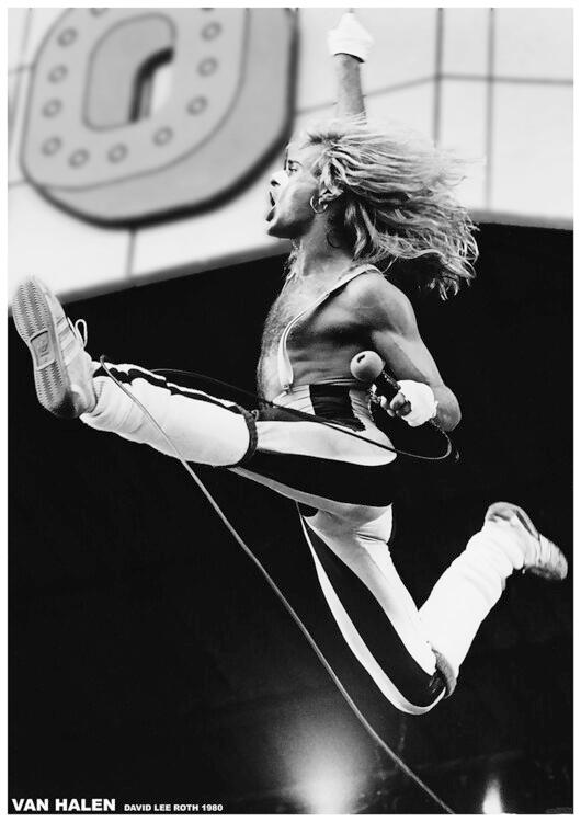 Plakat Van Halen - David Lee Roth 1980, Plakat (59,4 x 84,1 cm)