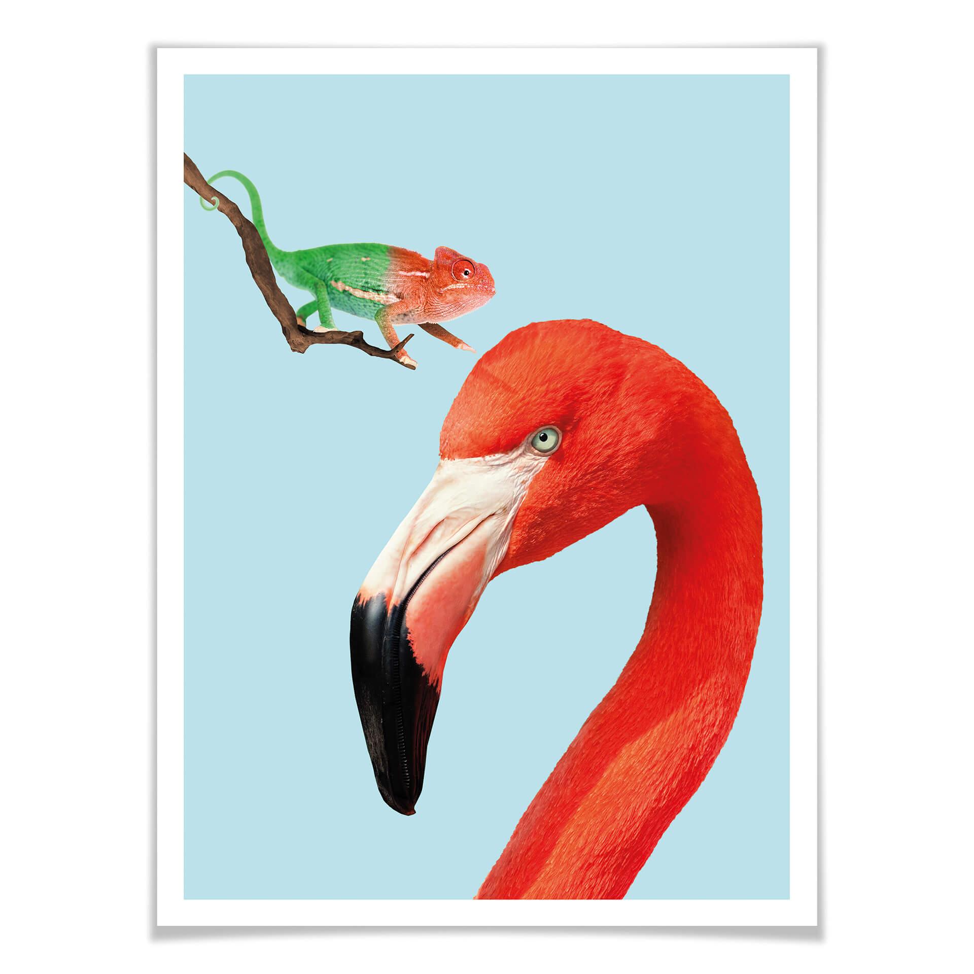 Plakat - Loose - Colorful Friends