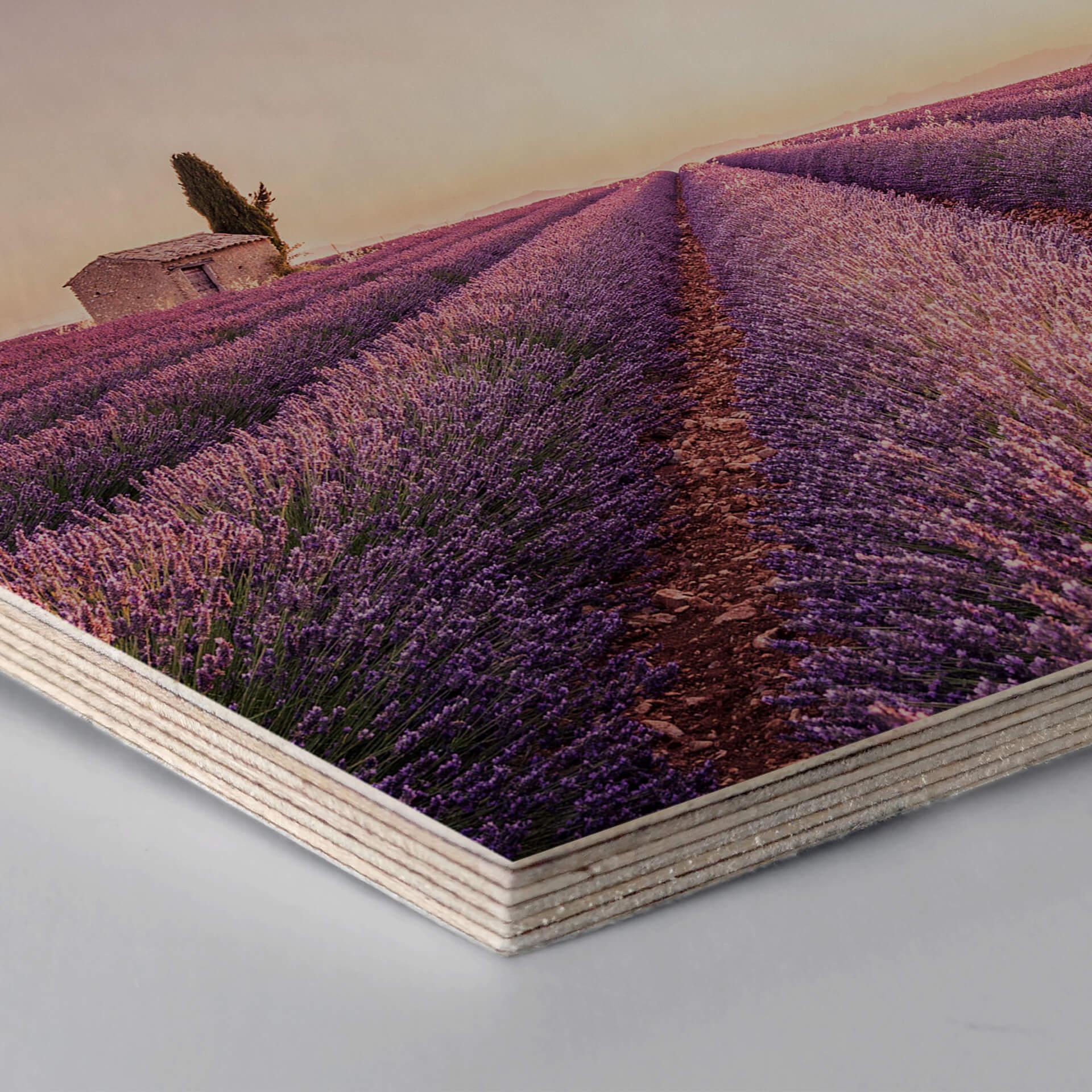 Hexagon - Birketræ - Lavendel