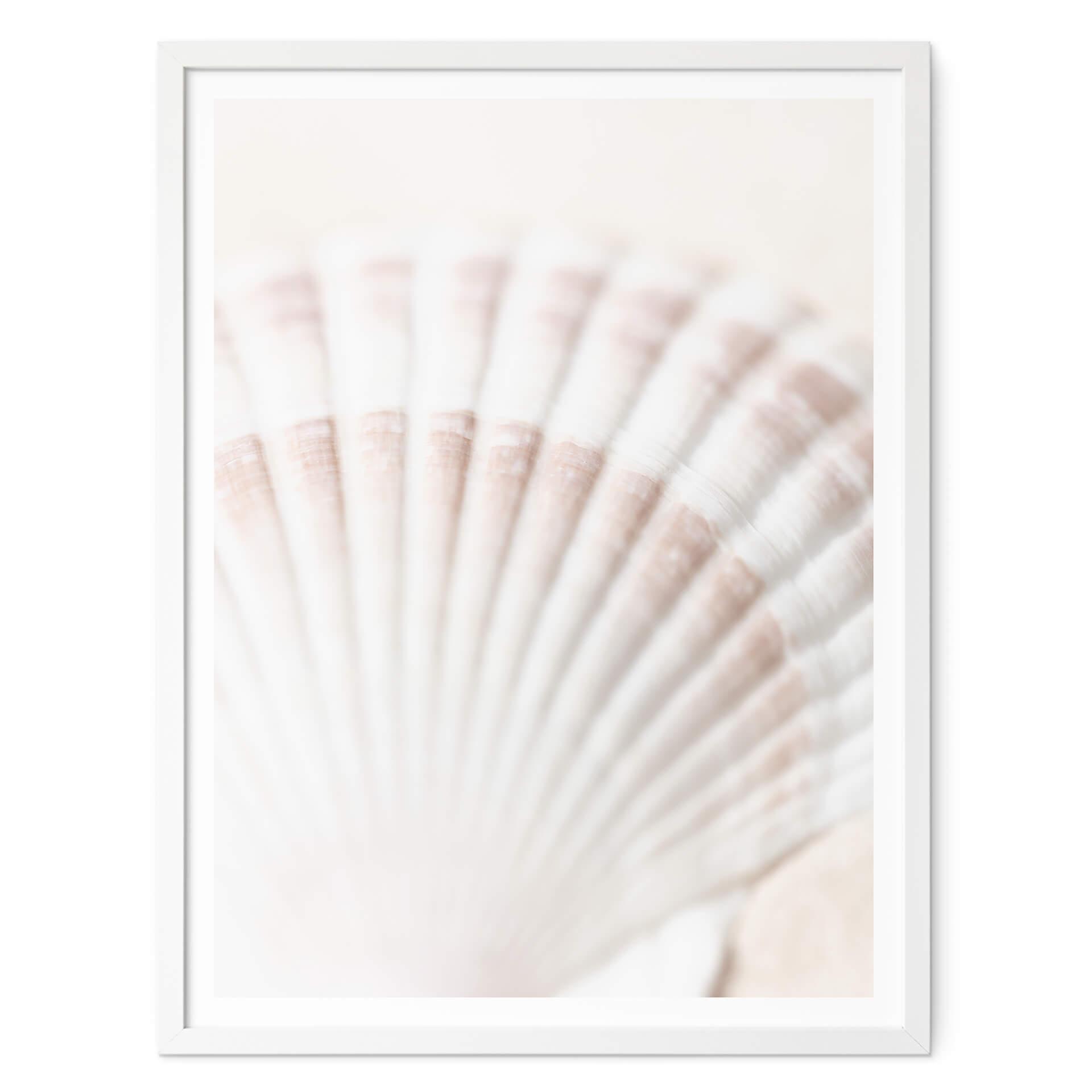 Poster 1X Studio - Scallop