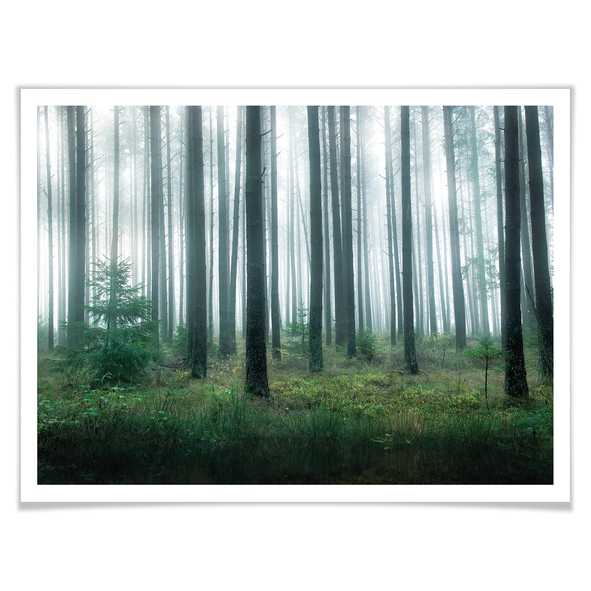 Póster Lindsten - En el bosque