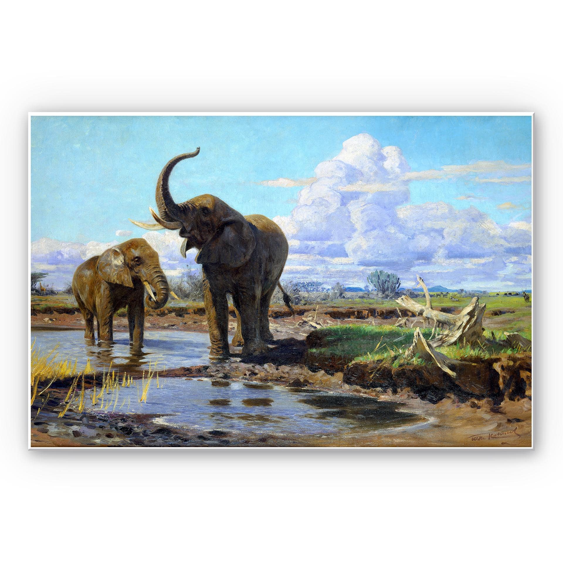 Tableau Forex - Kuhnert - Elephants au bord d'un point d'eau