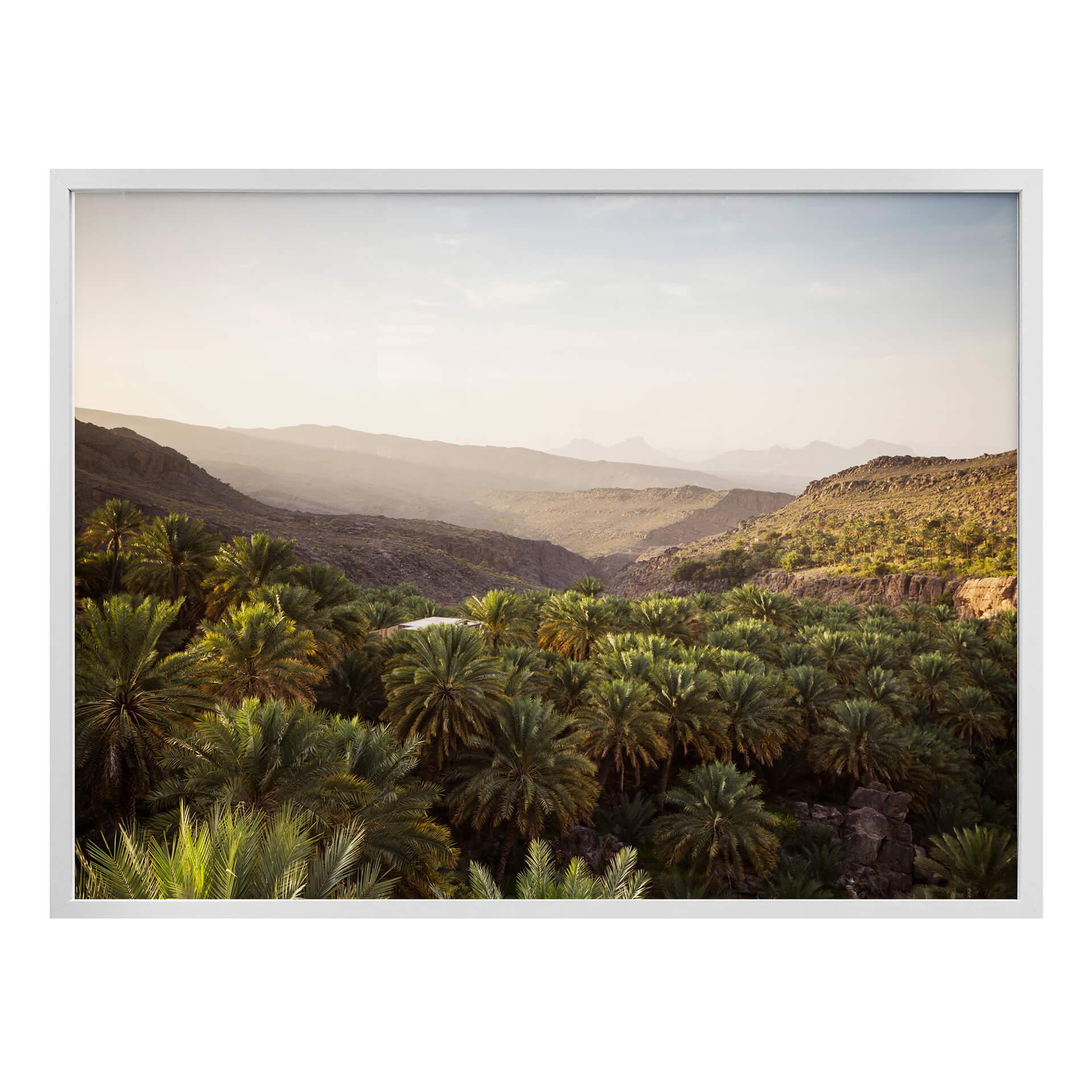 Plakat - Colombo - Oase i Oman