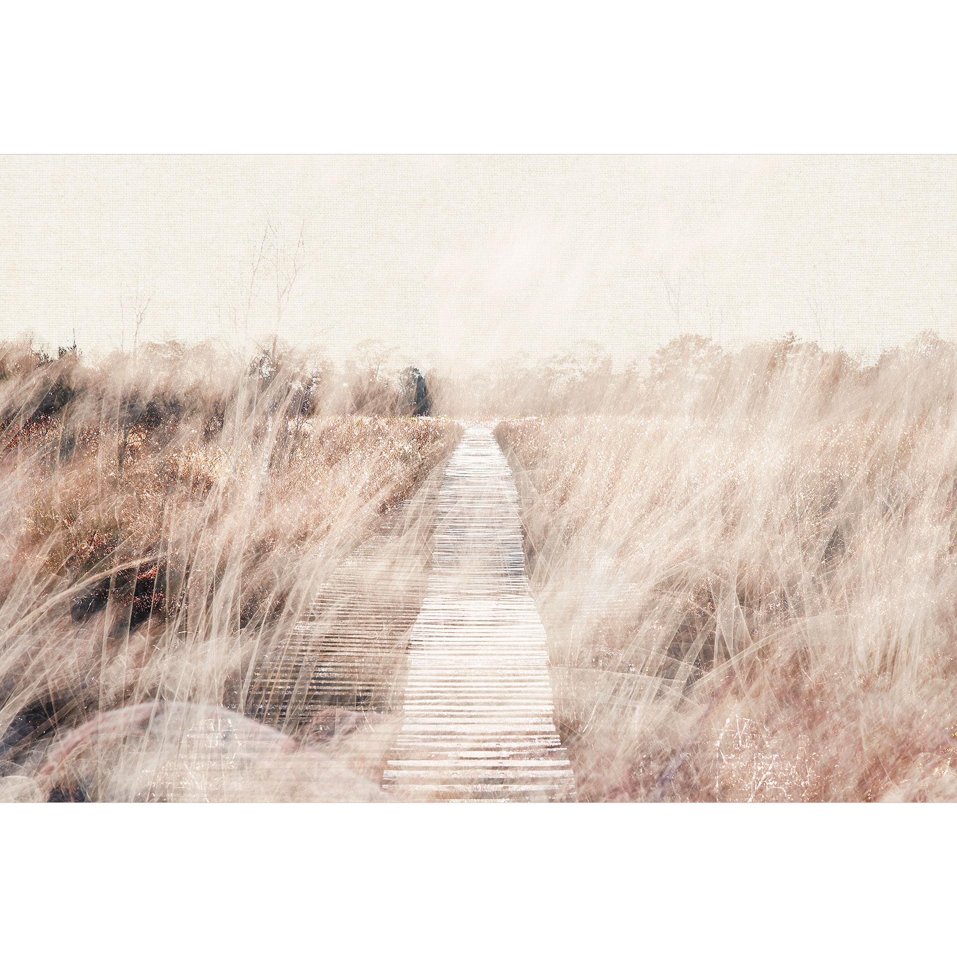 Fotobehang Dromerig landschap met houten loopbrug