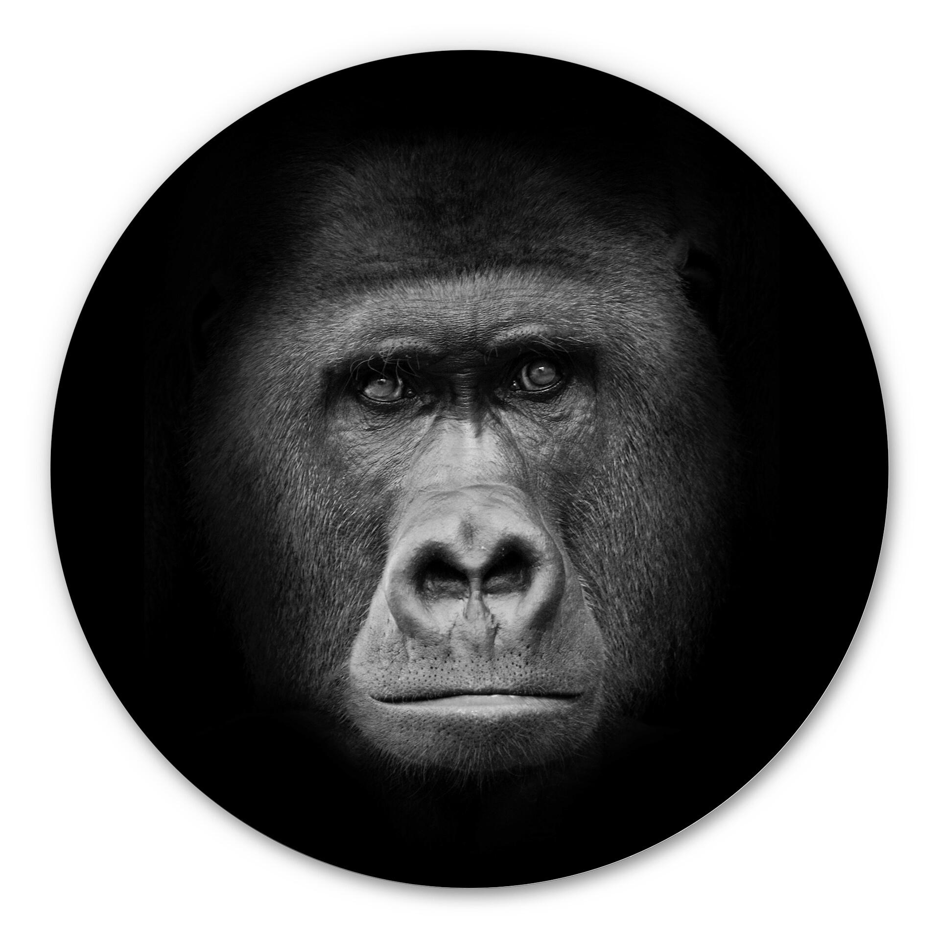 Tableau en Alu-Dibond Gorille - Rond