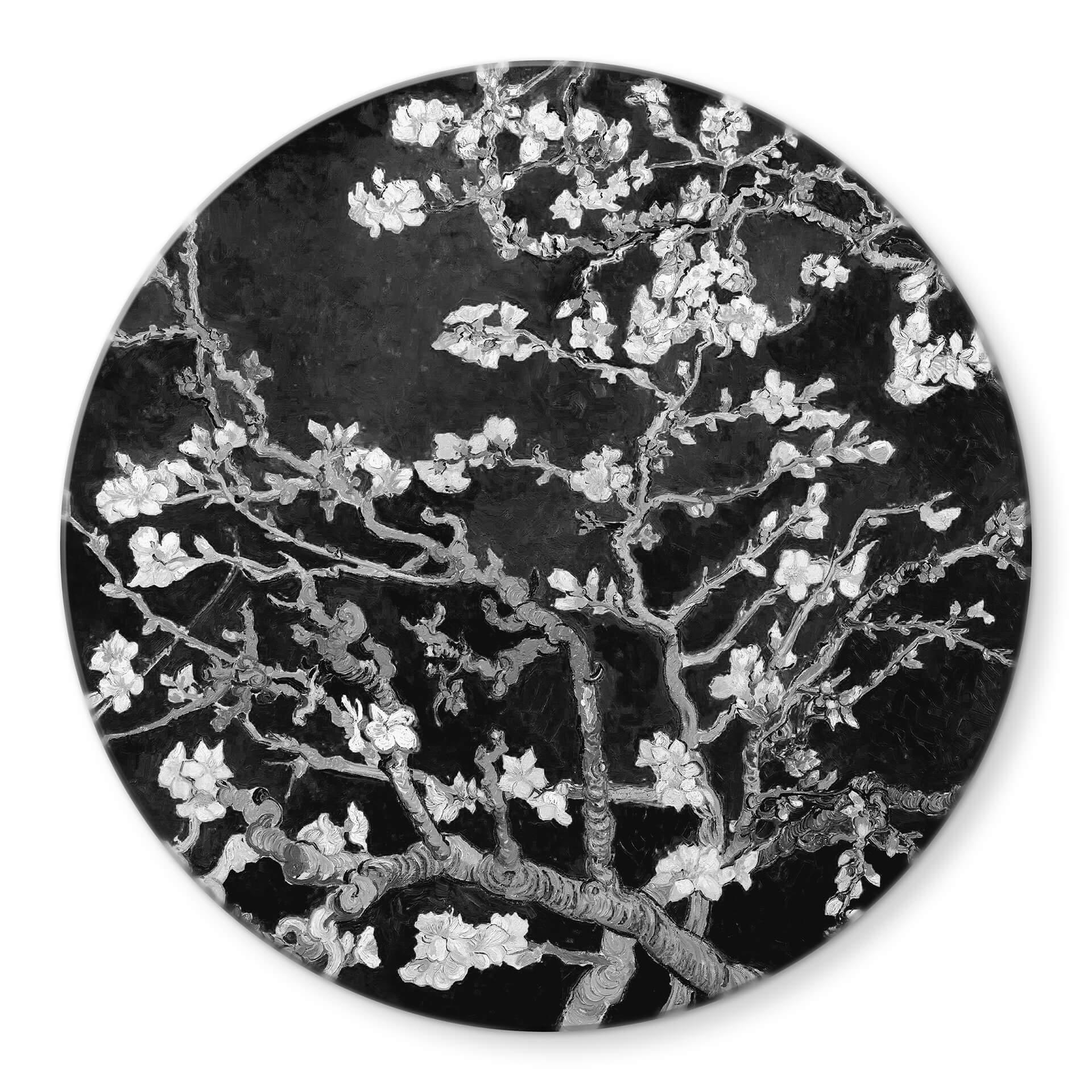 Glasschilderij Rond van Gogh - Amandelbloesem zwart-wit