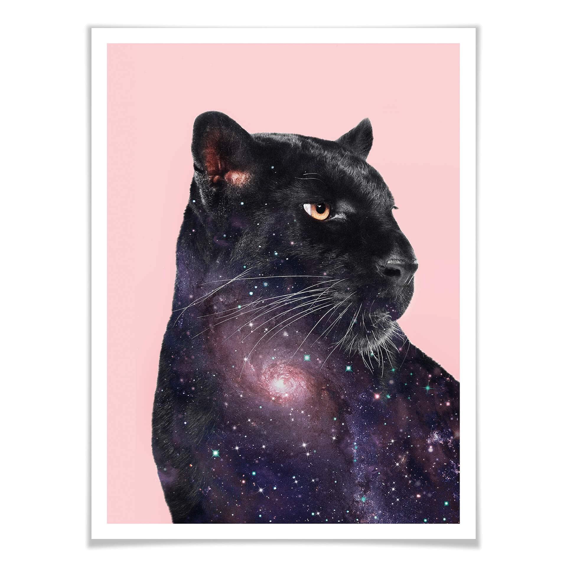 Plakat Loose - Galaxy Panther