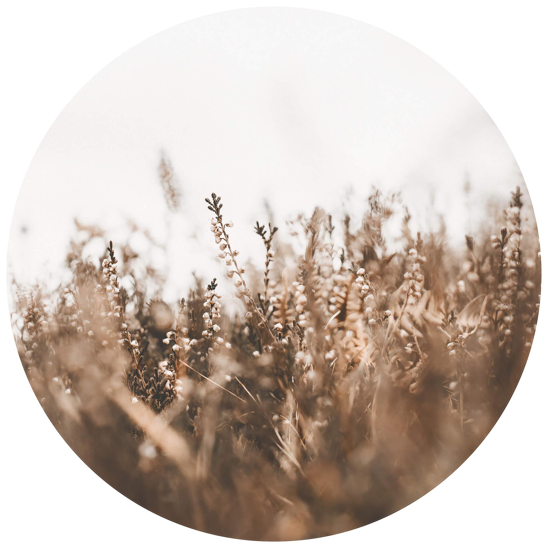 Behangcirkel Annie - Meadow Grass - vliesbehang/zelfklevend vliesbehang