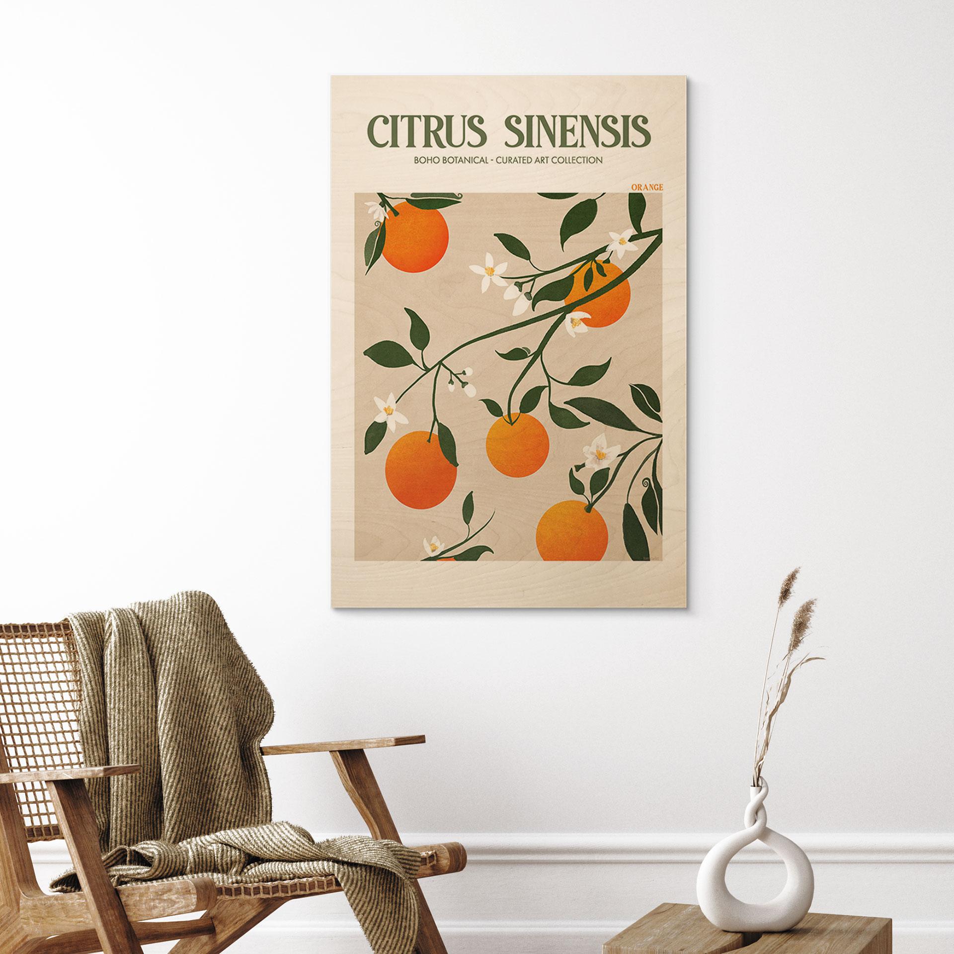 Billede af træ Boho appelsintræ - Citrus Sinensis - Tunaboylu