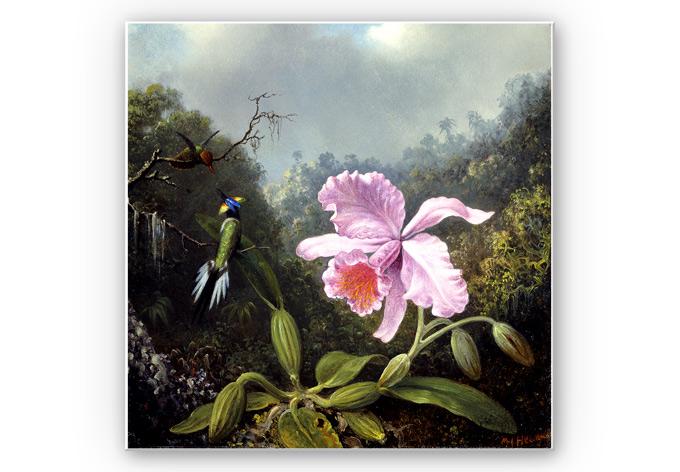 Wanddecoratie Heade - Stilleven met Orchidee