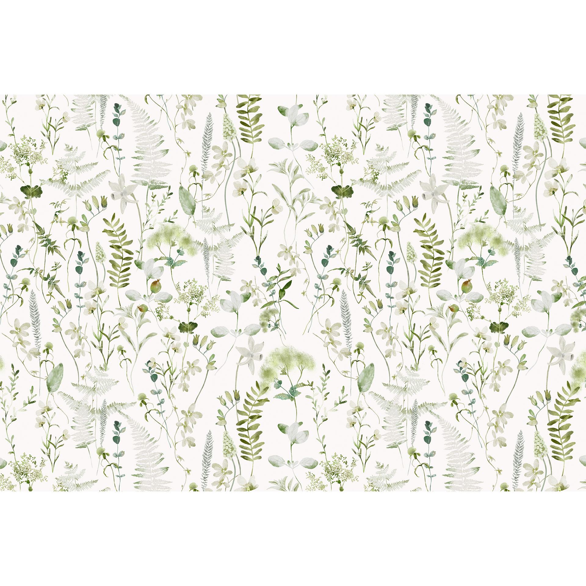 Fotomurale Erbe e fiori di campo - UN Designs