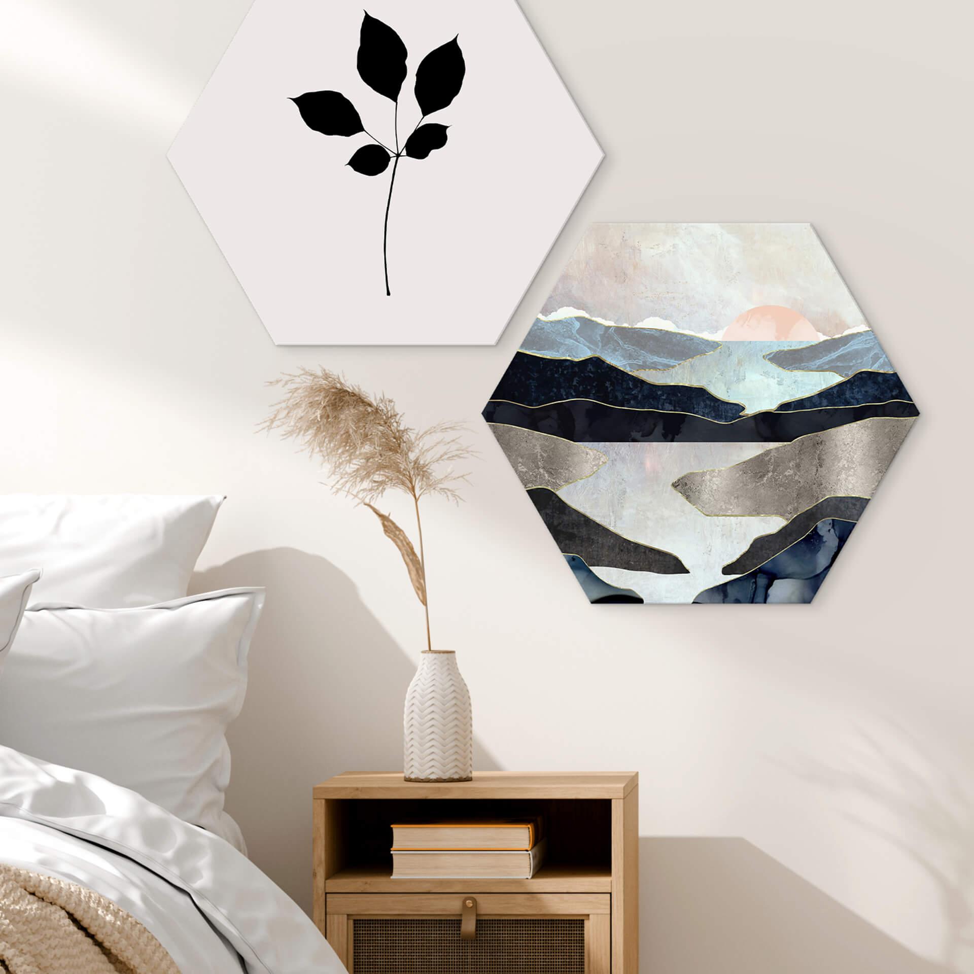 Hexagon Dibond SpaceFrog Designs - Bergzee