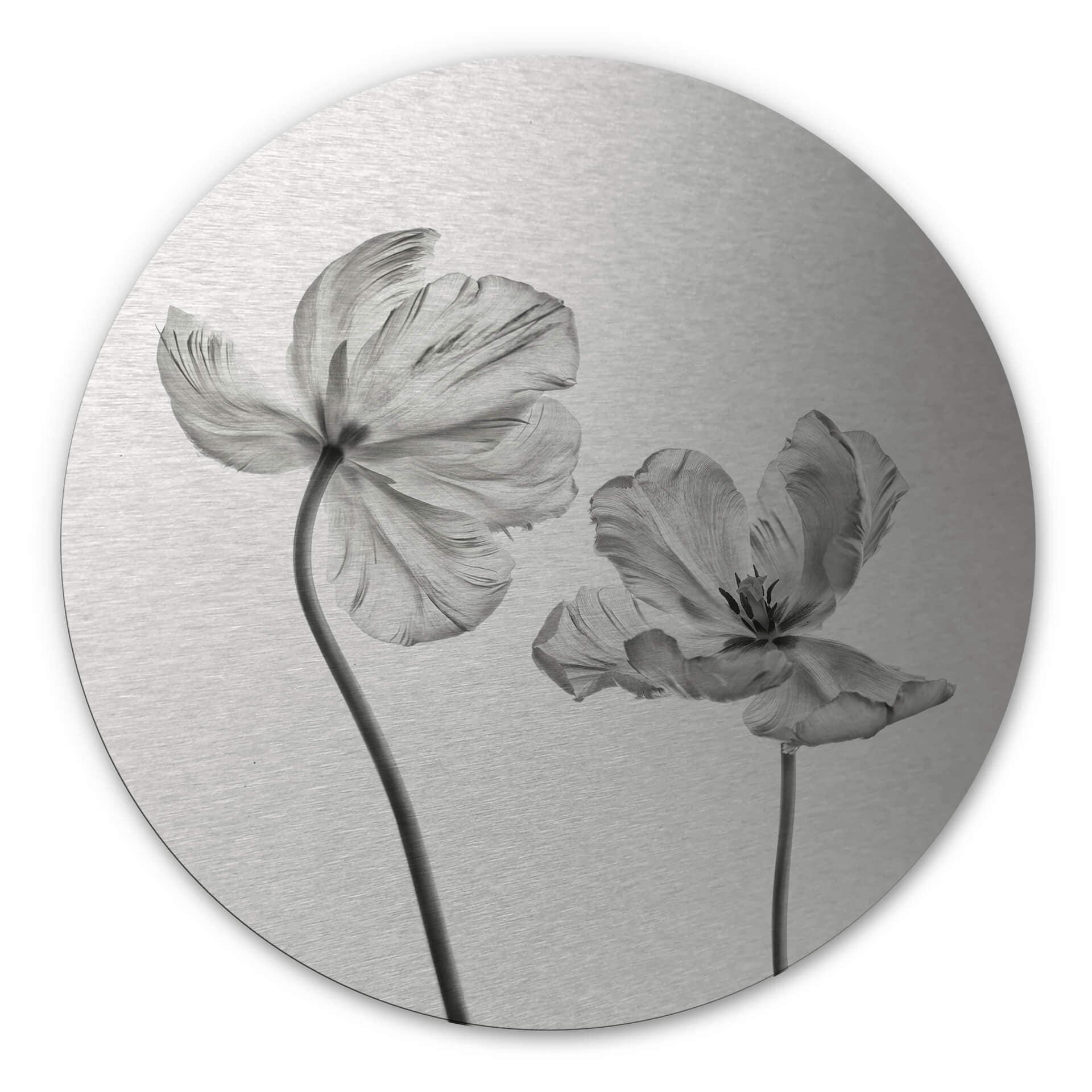 Dibond Schilderij met zilver effect Grønkjær - Tulpen