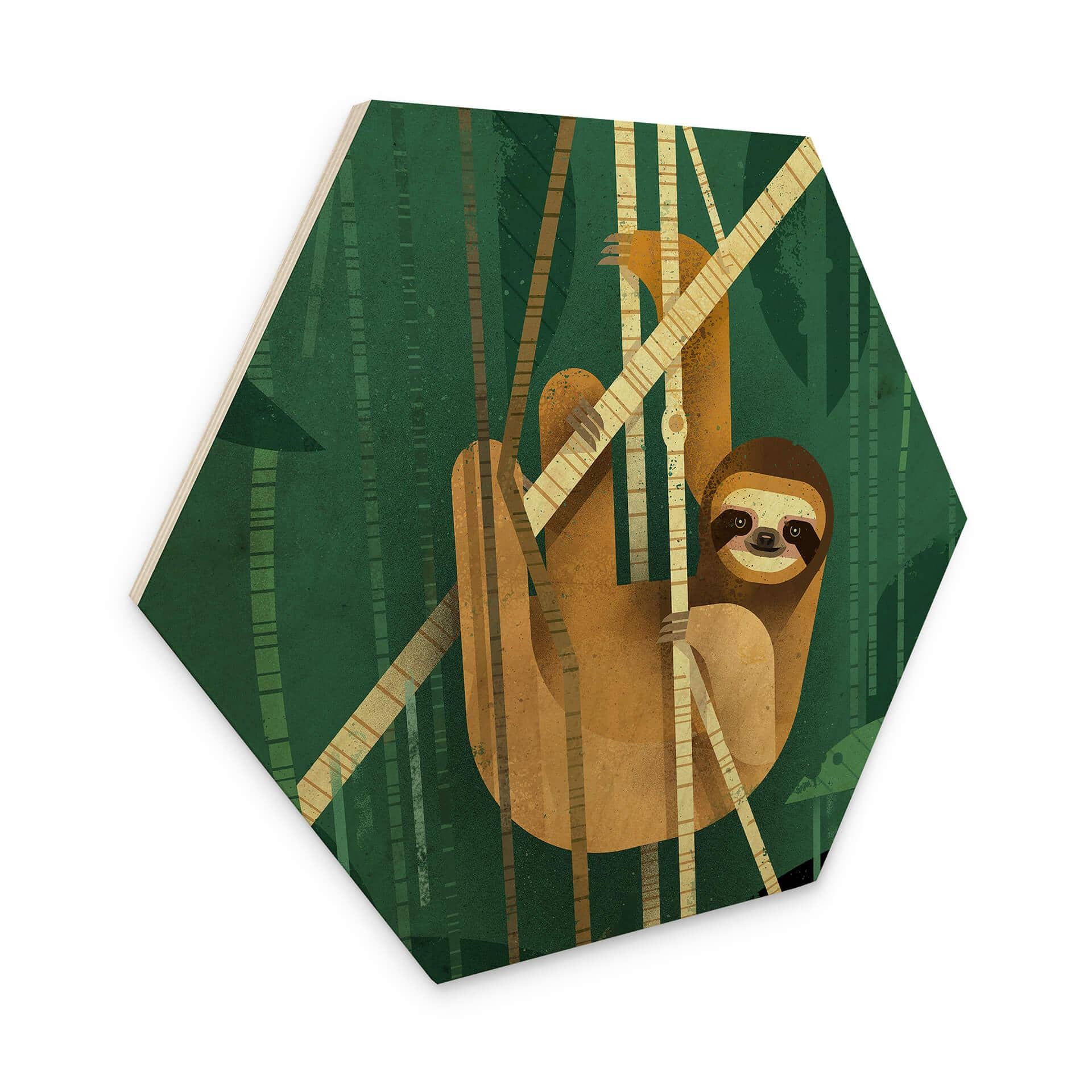 Hexagone - Bois Brun - Paresseux