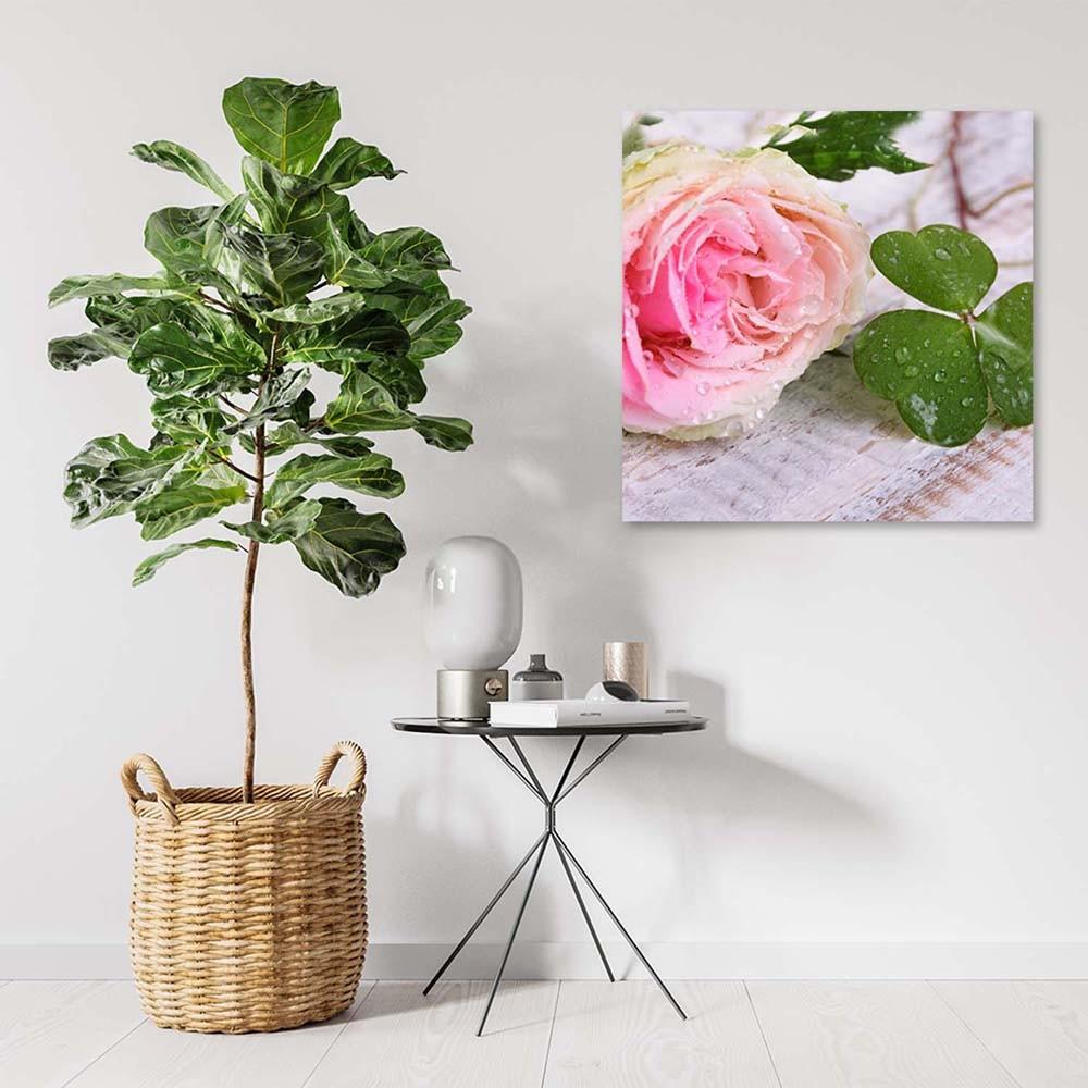 Canvasbillede, Rosenblomster i naturen