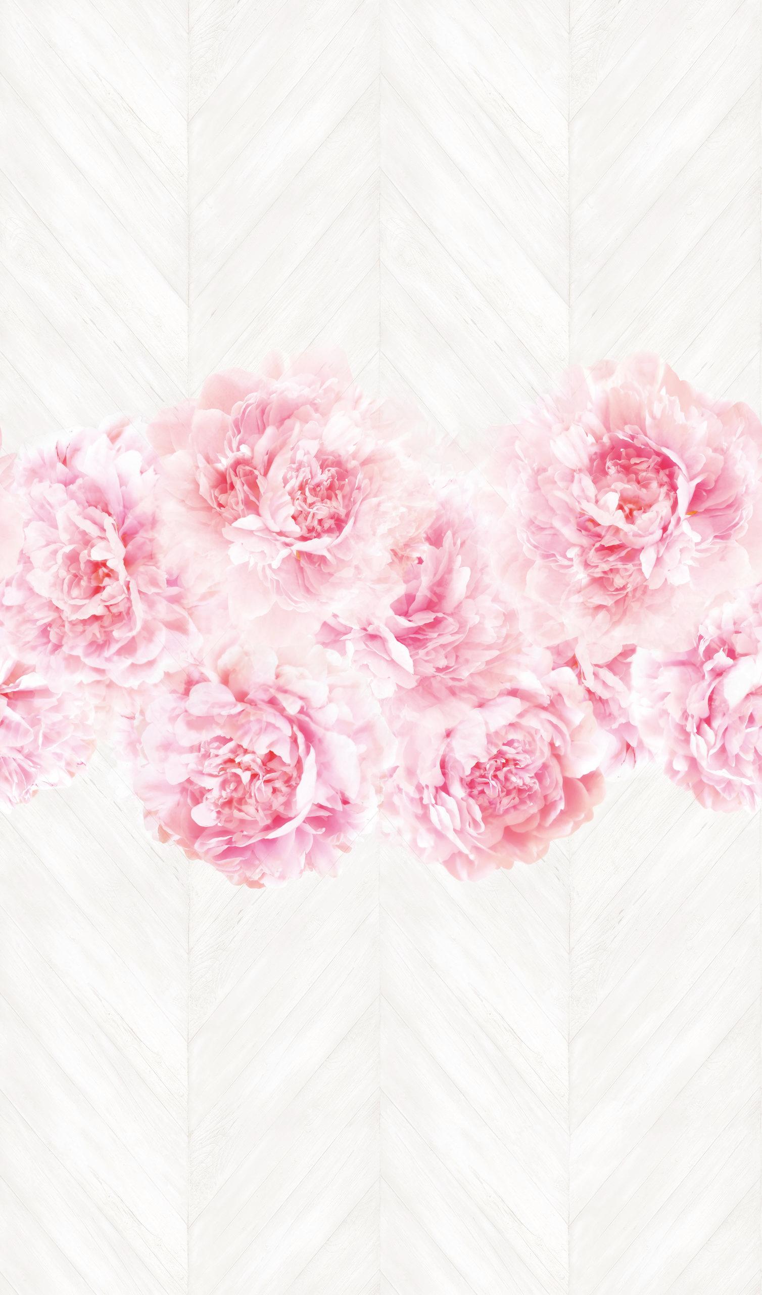 Roos behang Fotobehang op hout Roze,Bloemig 2,70 x 1,59 m