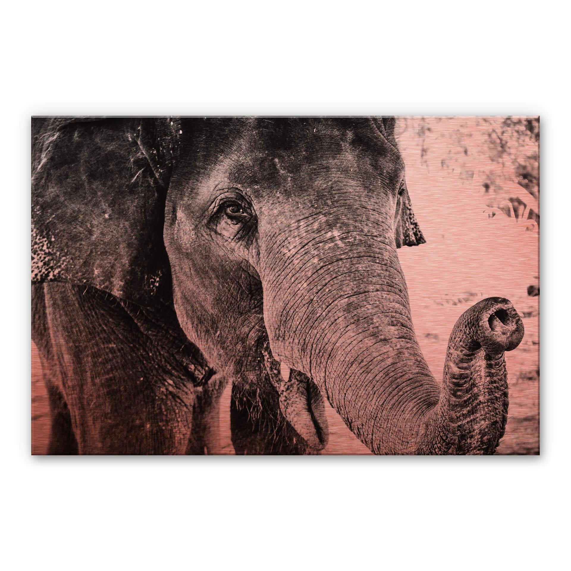Alu-Dibond-Kupfereffekt - Indian Elephant