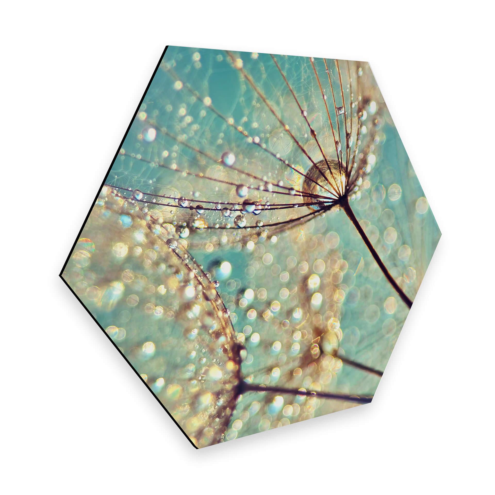 Hexagone - Alu-Dibond - Delgado - Pissenlit magique
