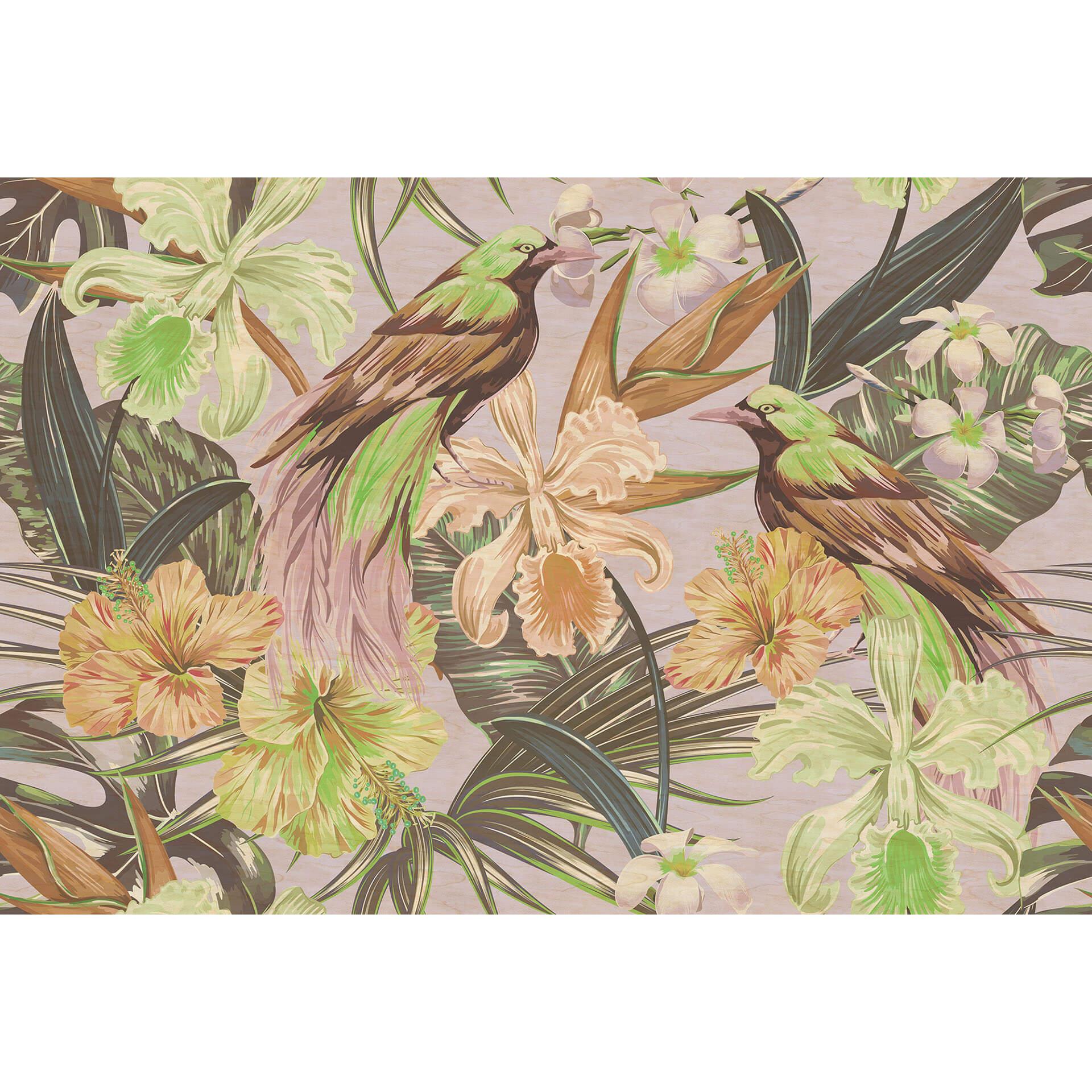 Livingwalls Fotobehang Walls by Patel 2 exotic birds 2
