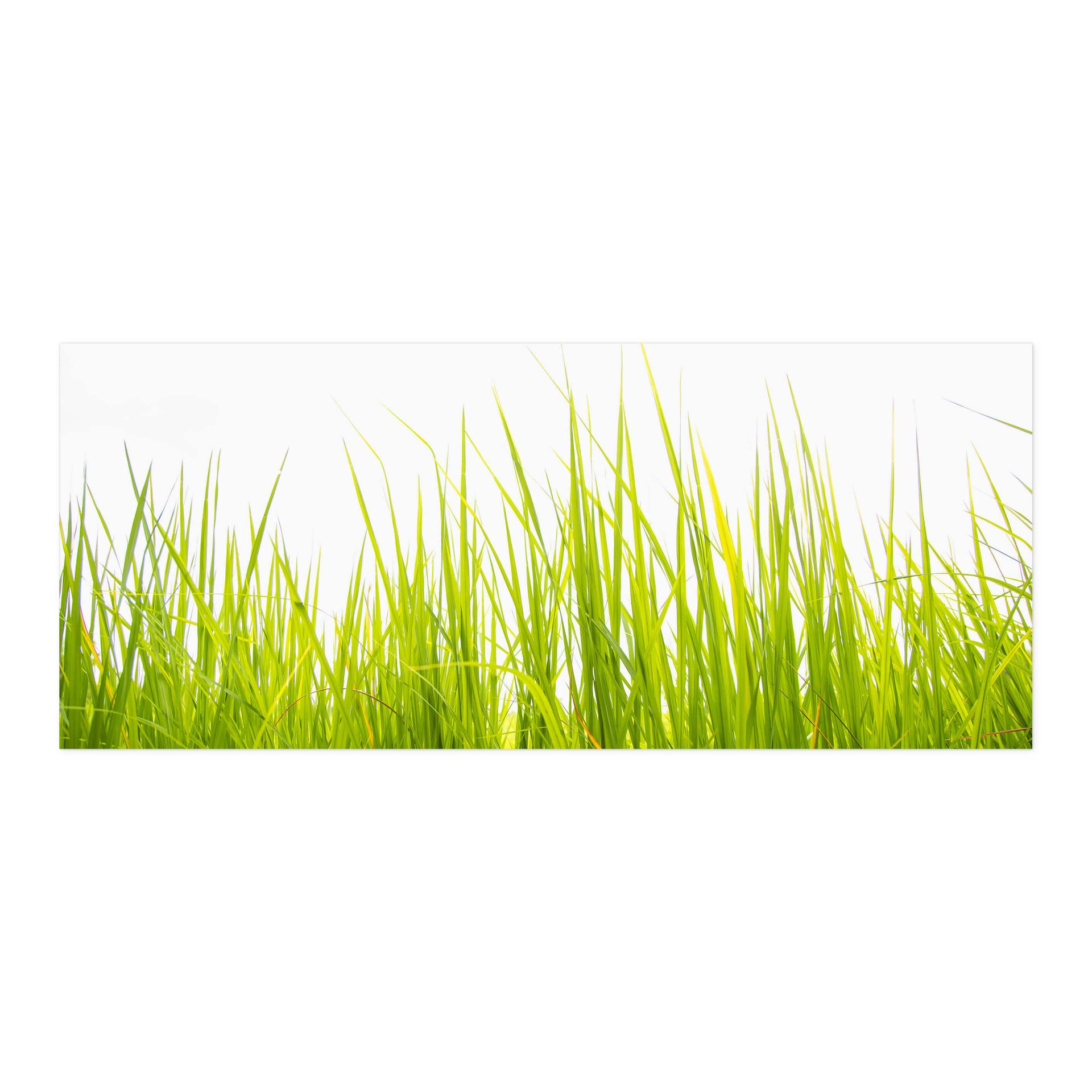 Salpicadero de cocina autoadhesivo High grass