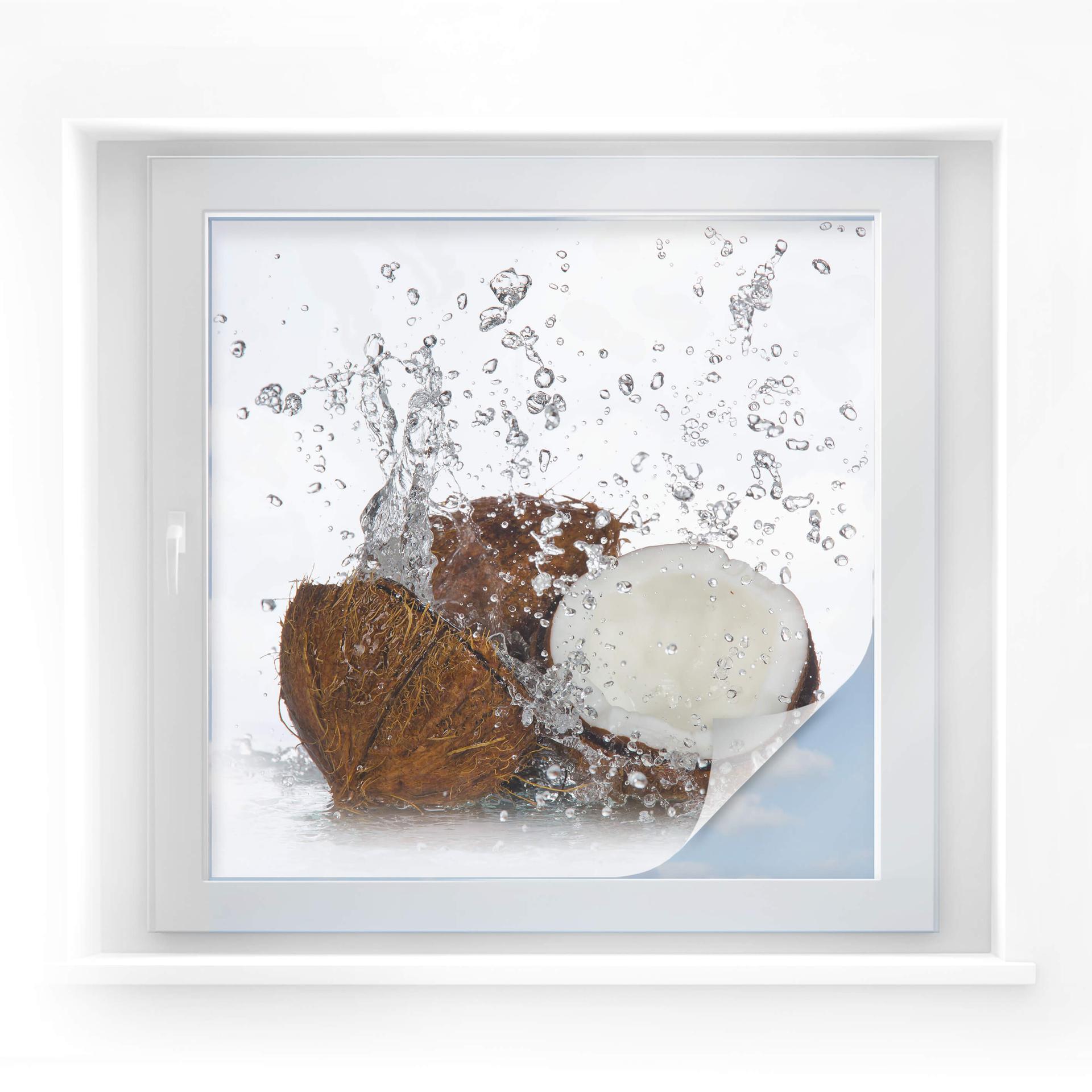 Lámina de privacidad Caribbean Coconut - cuadrada