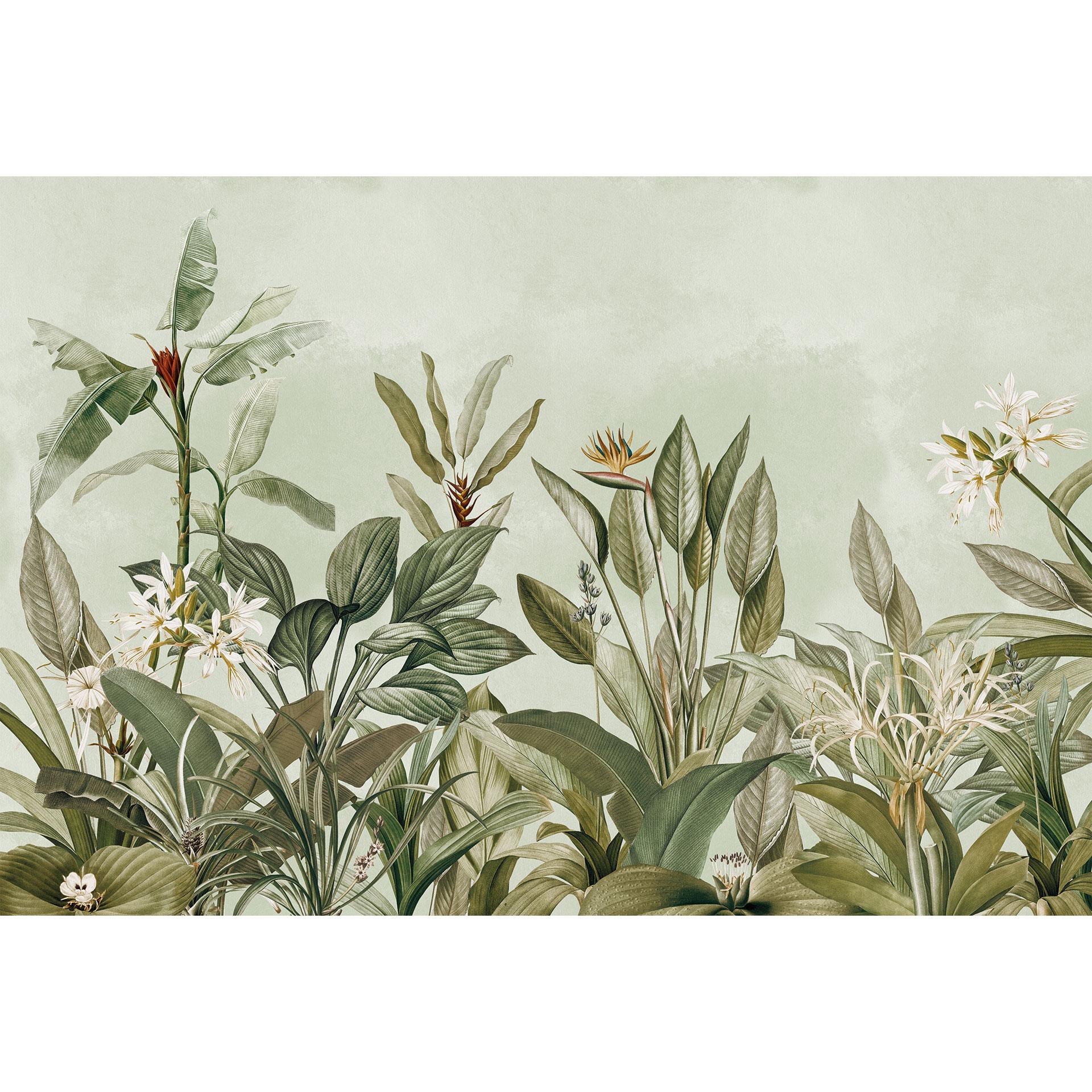 Fotomurale Botanica tropicale - UN Designs