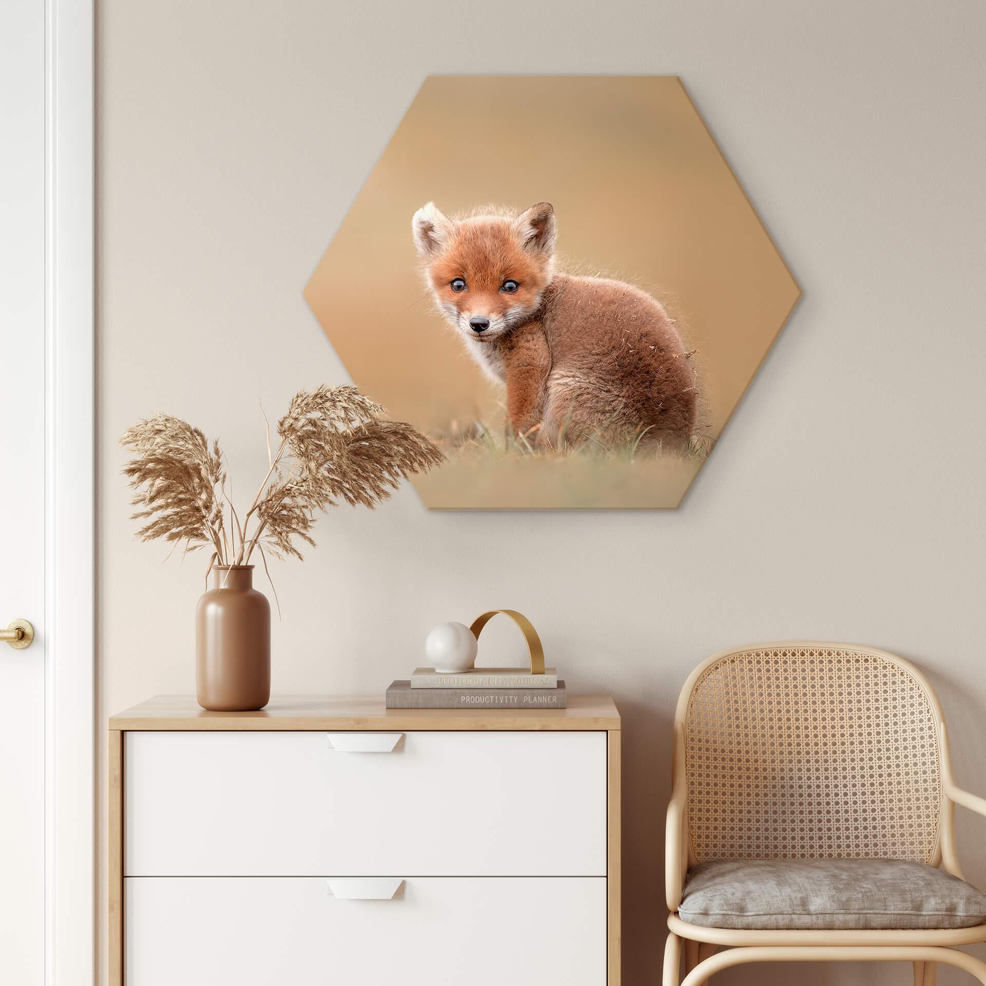 Hexagon Dibond van Duijn - Baby Fox