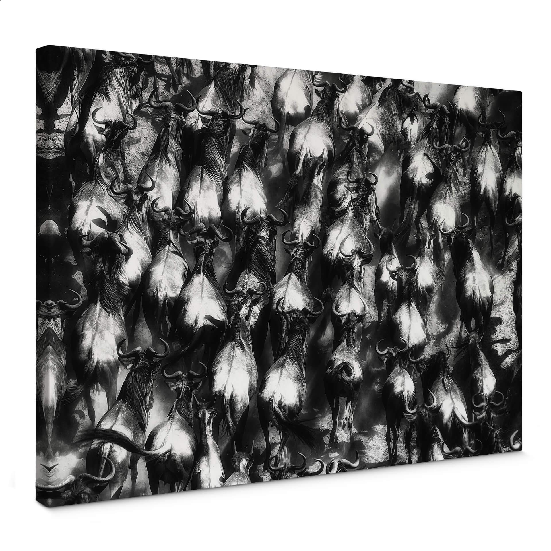 Canvasbillede - Alnsaser - Animal Flight