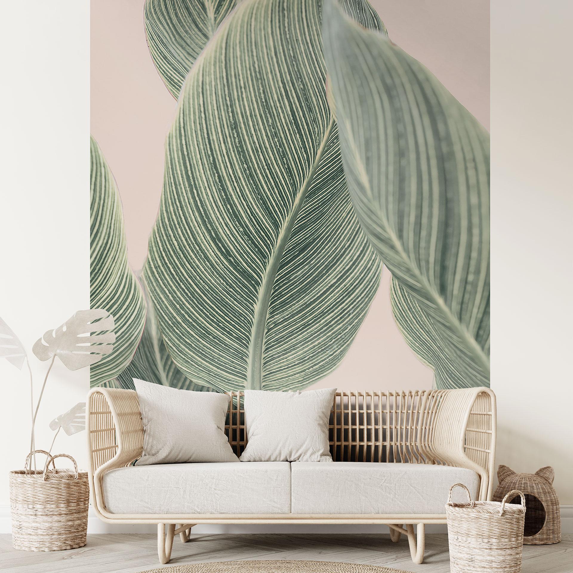 Fototapet Calathea-plante - Sisi & Seb