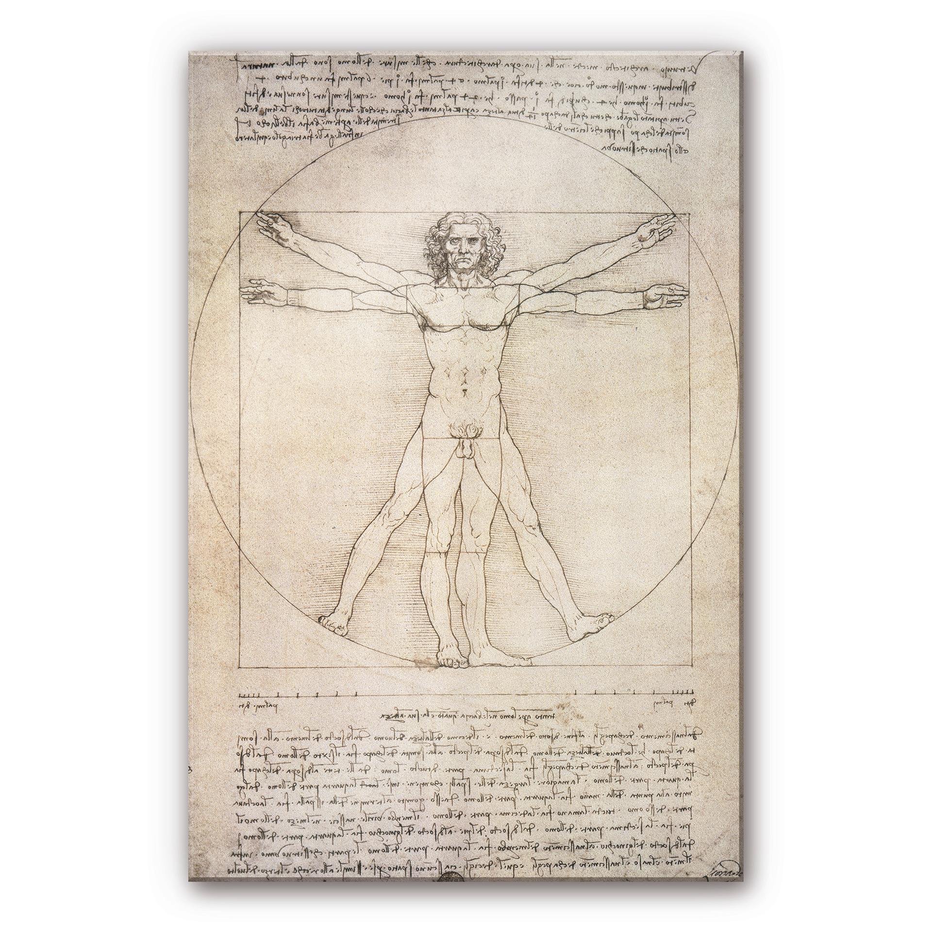 Akrylbillede da Vinci - Den vitruvianske mand