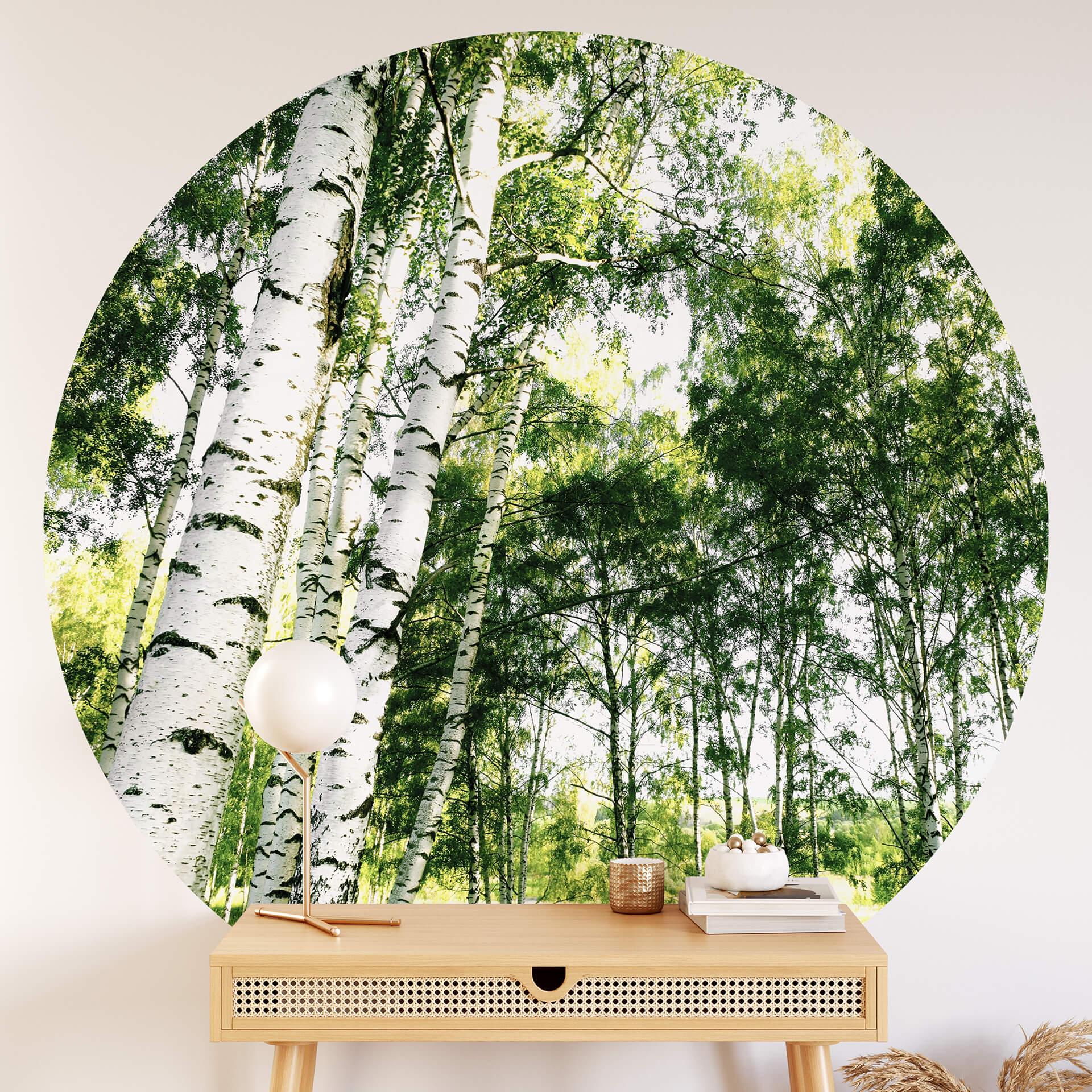 Fototapet - Rundt Sunshine Forest - vliesetapet/selvklæbende non-woven tapet