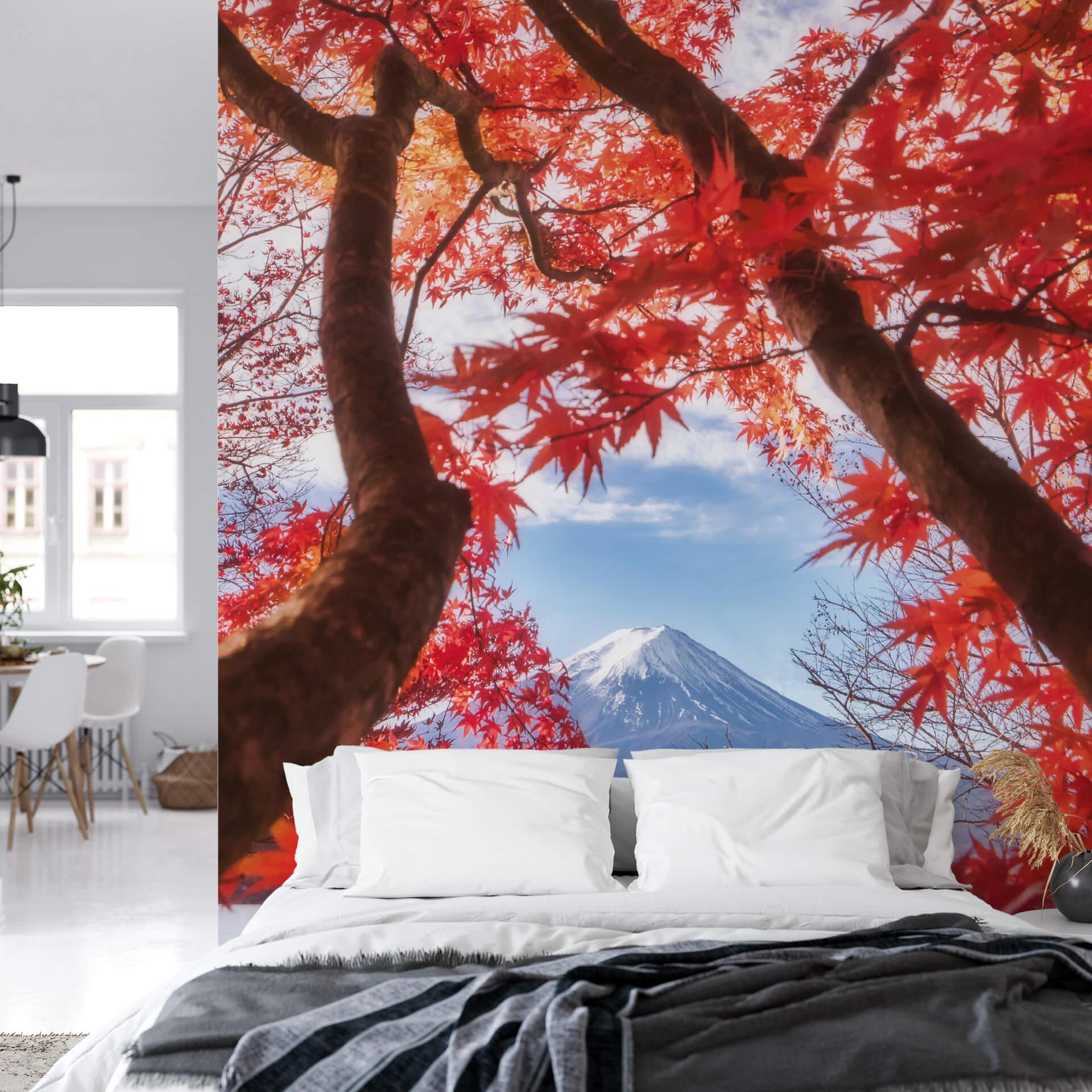 Samejima - Fotomural de hojas rojas - 192x260 cm